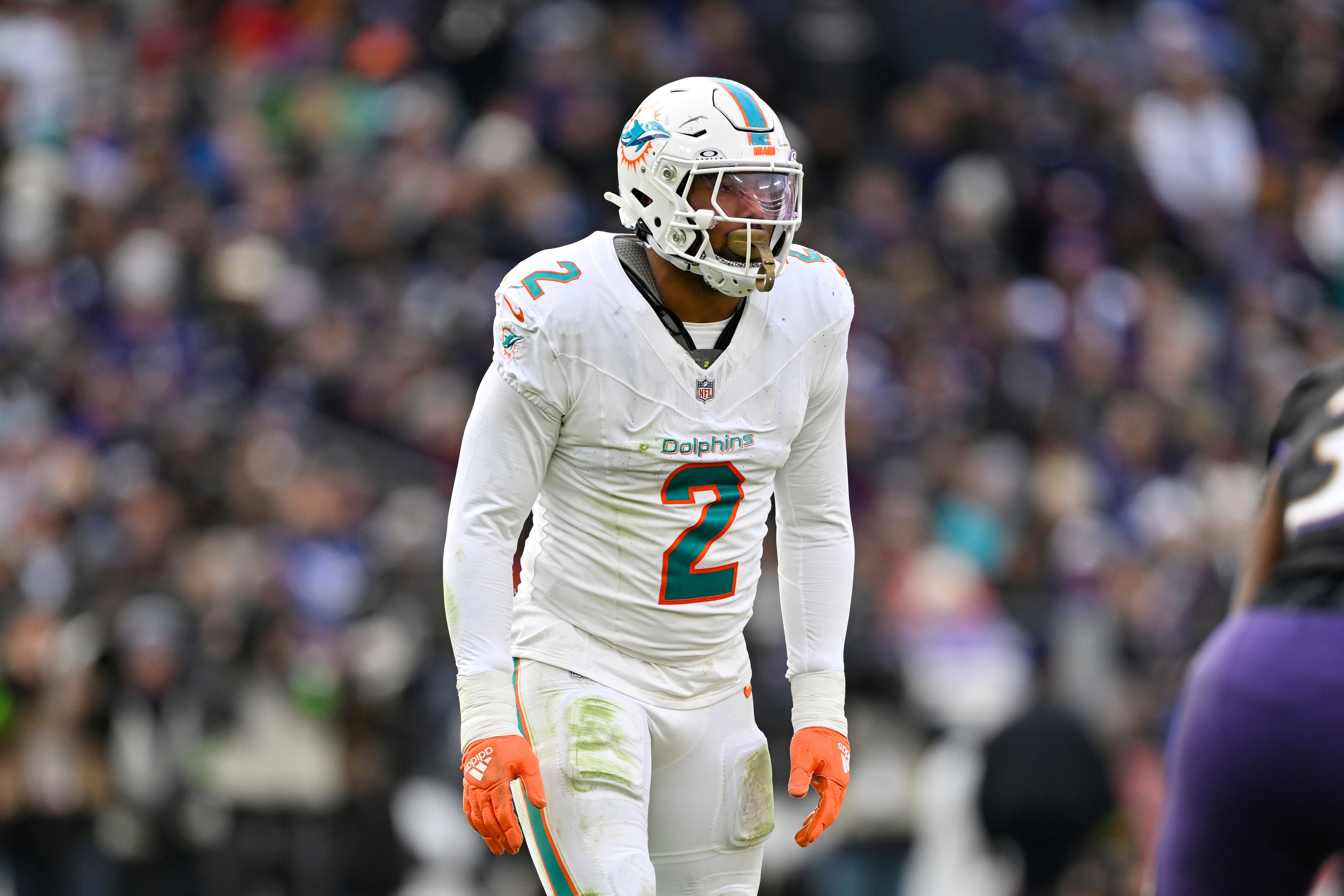 Dolphins Ravens Football