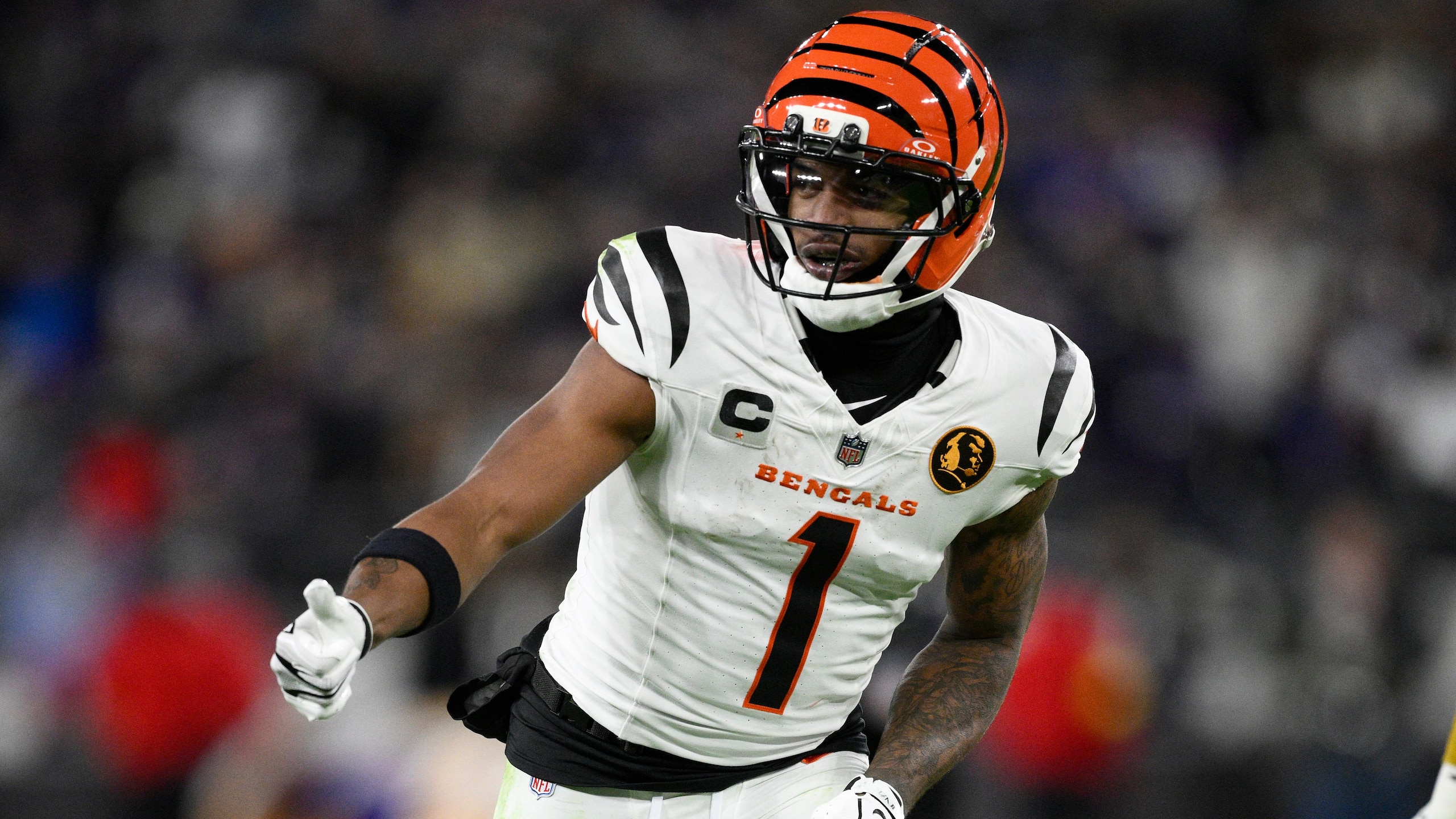 Bengals Ravens Football