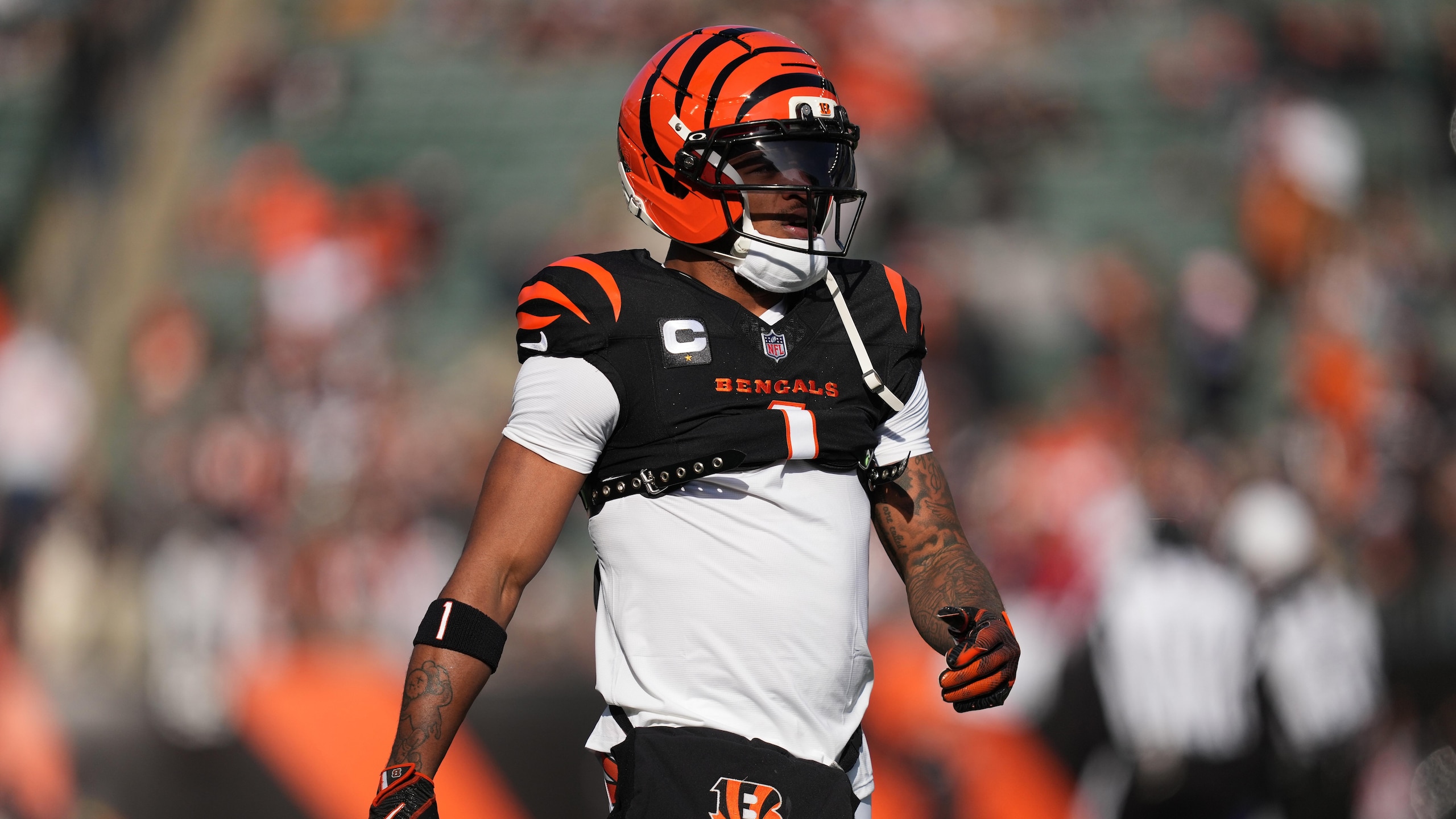 Browns Bengals Football