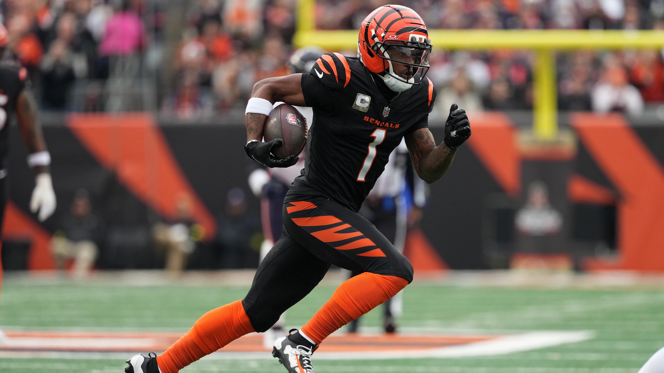 Bears Bengals Football