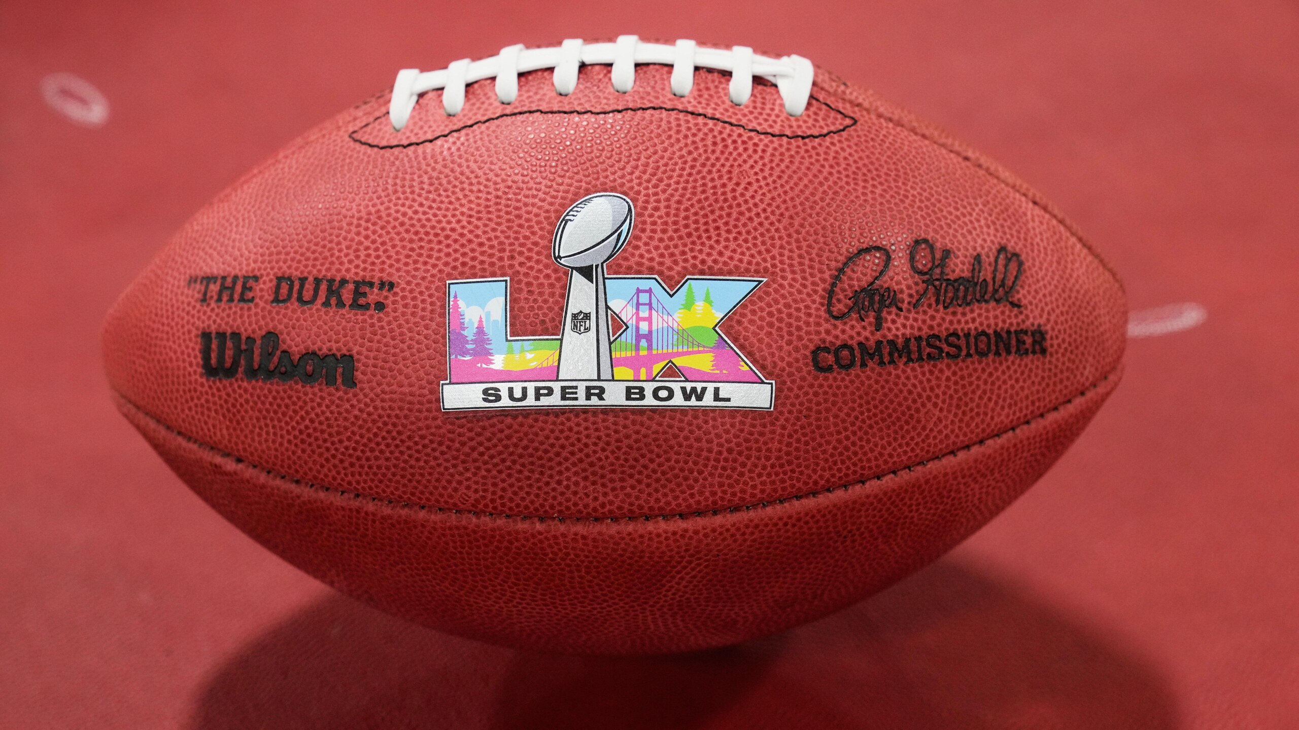 Super Bowl Commemorative Footballs