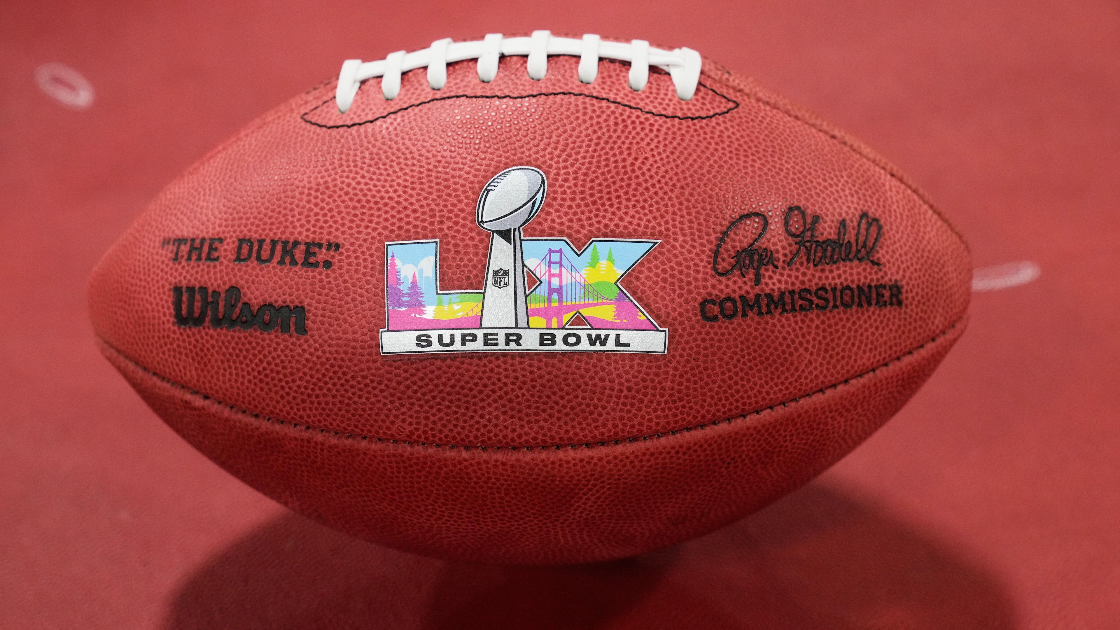 Super Bowl Commemorative Footballs