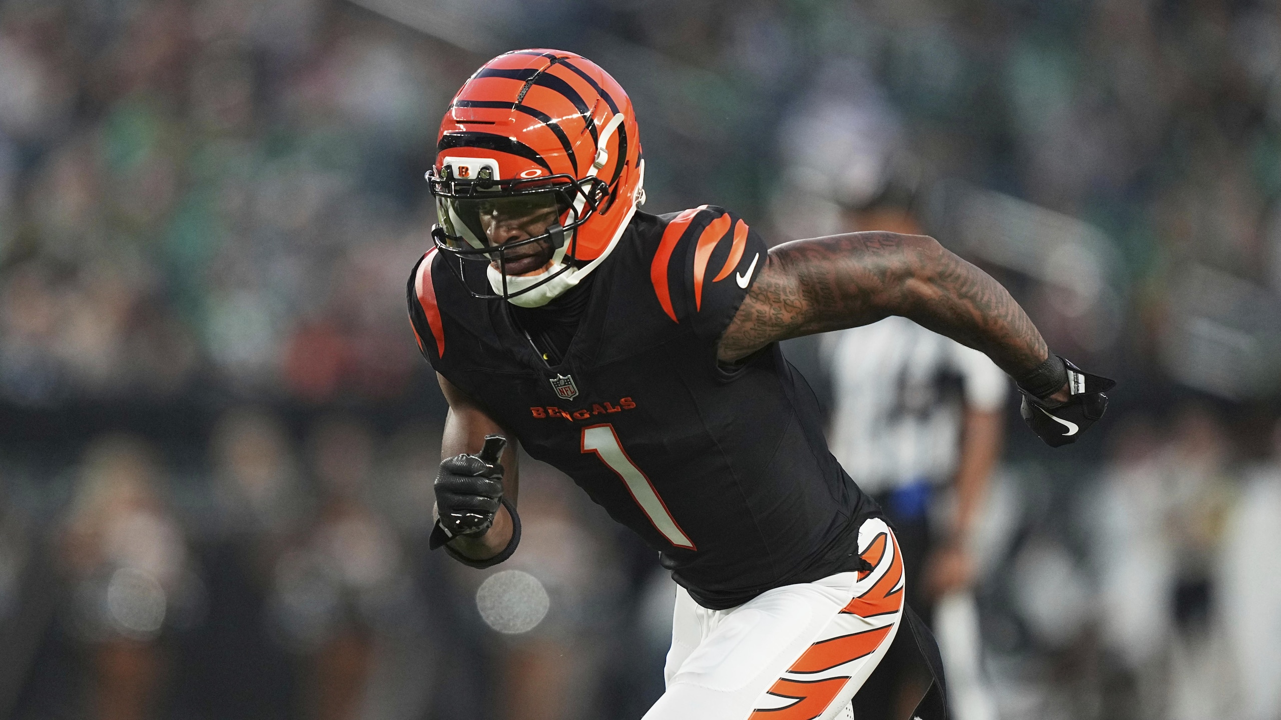 Bengals Football