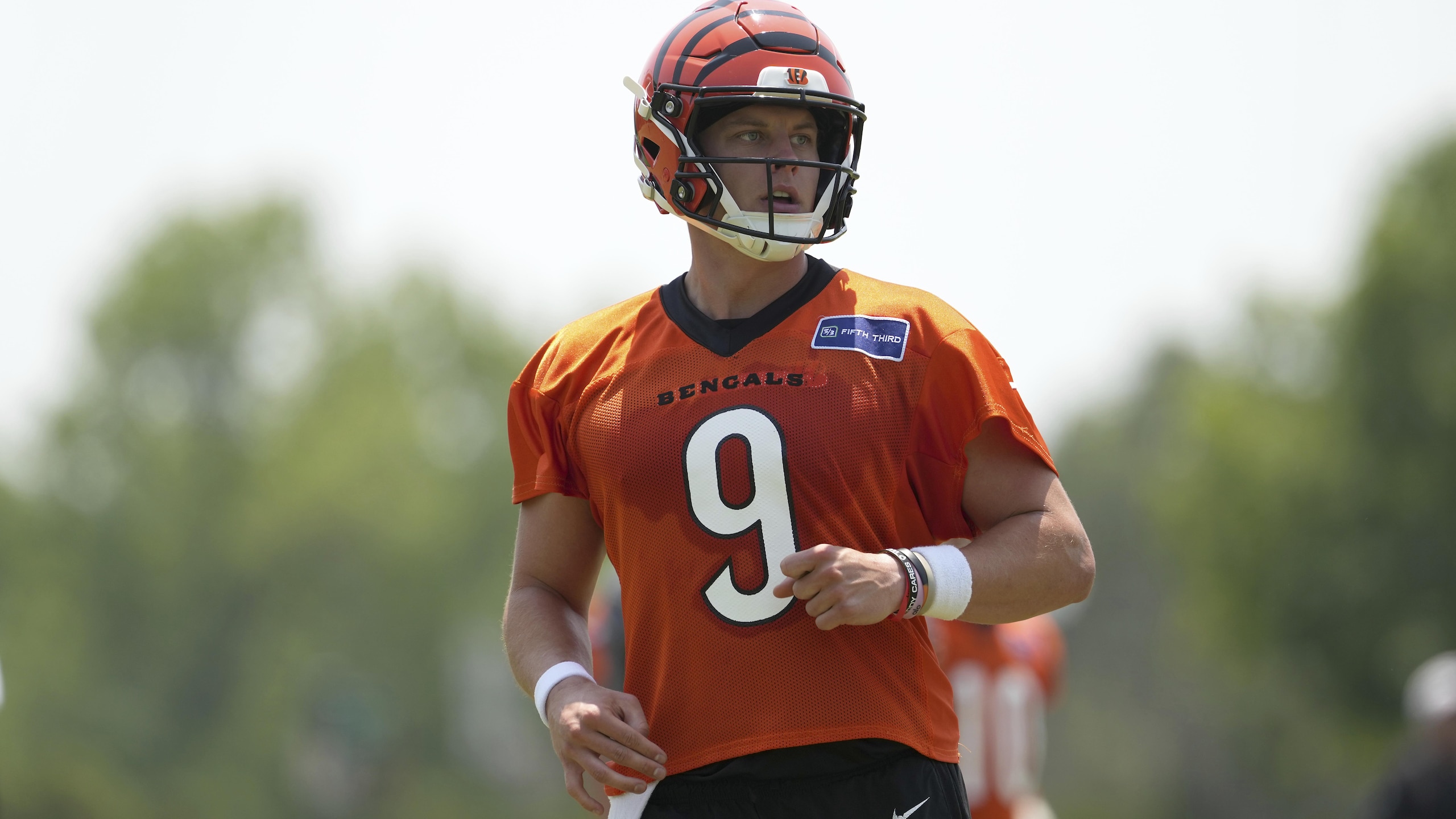 Bengals Football
