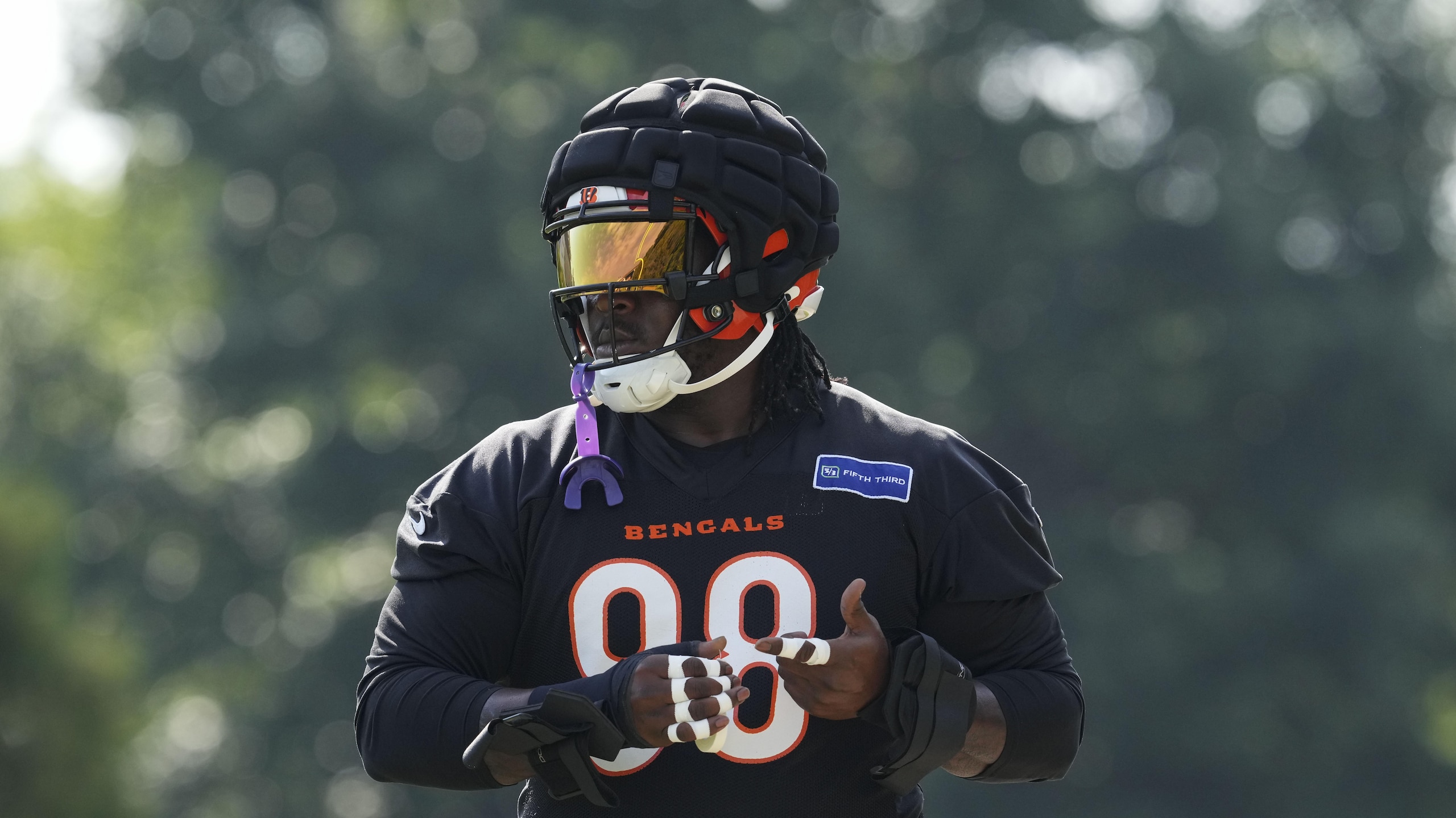 Bengals Football
