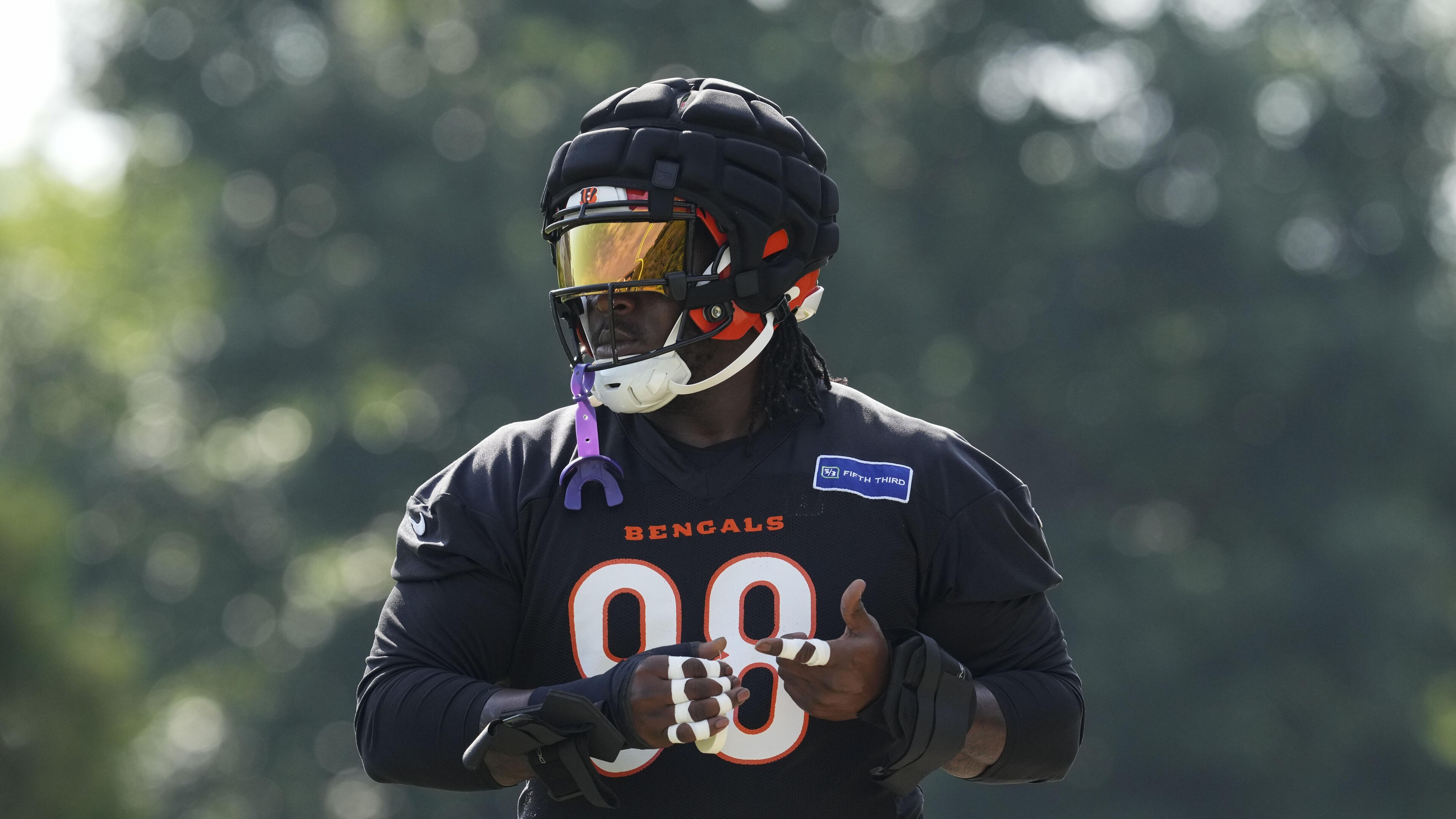 Bengals Football
