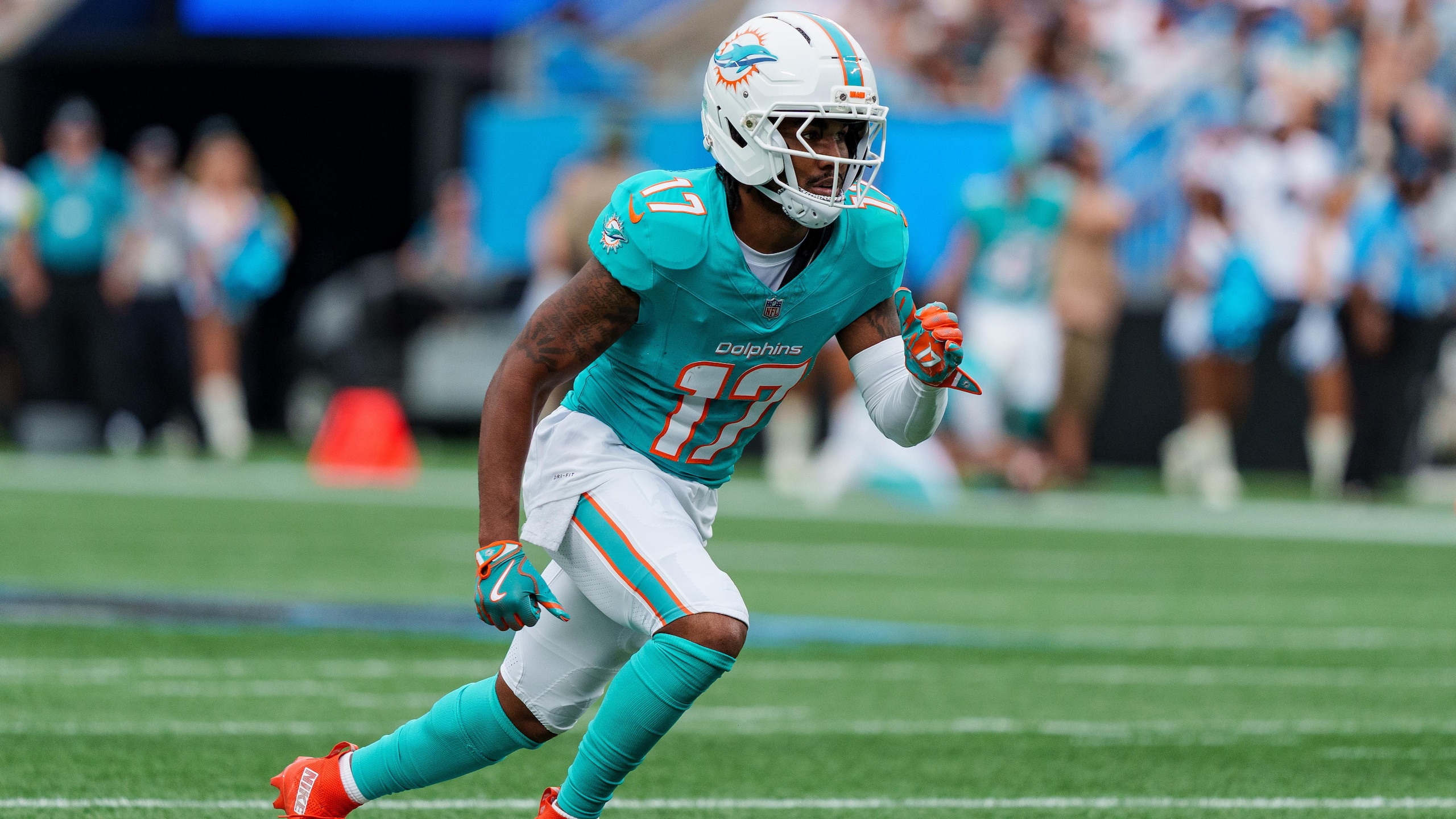 Dolphins Panthers Football