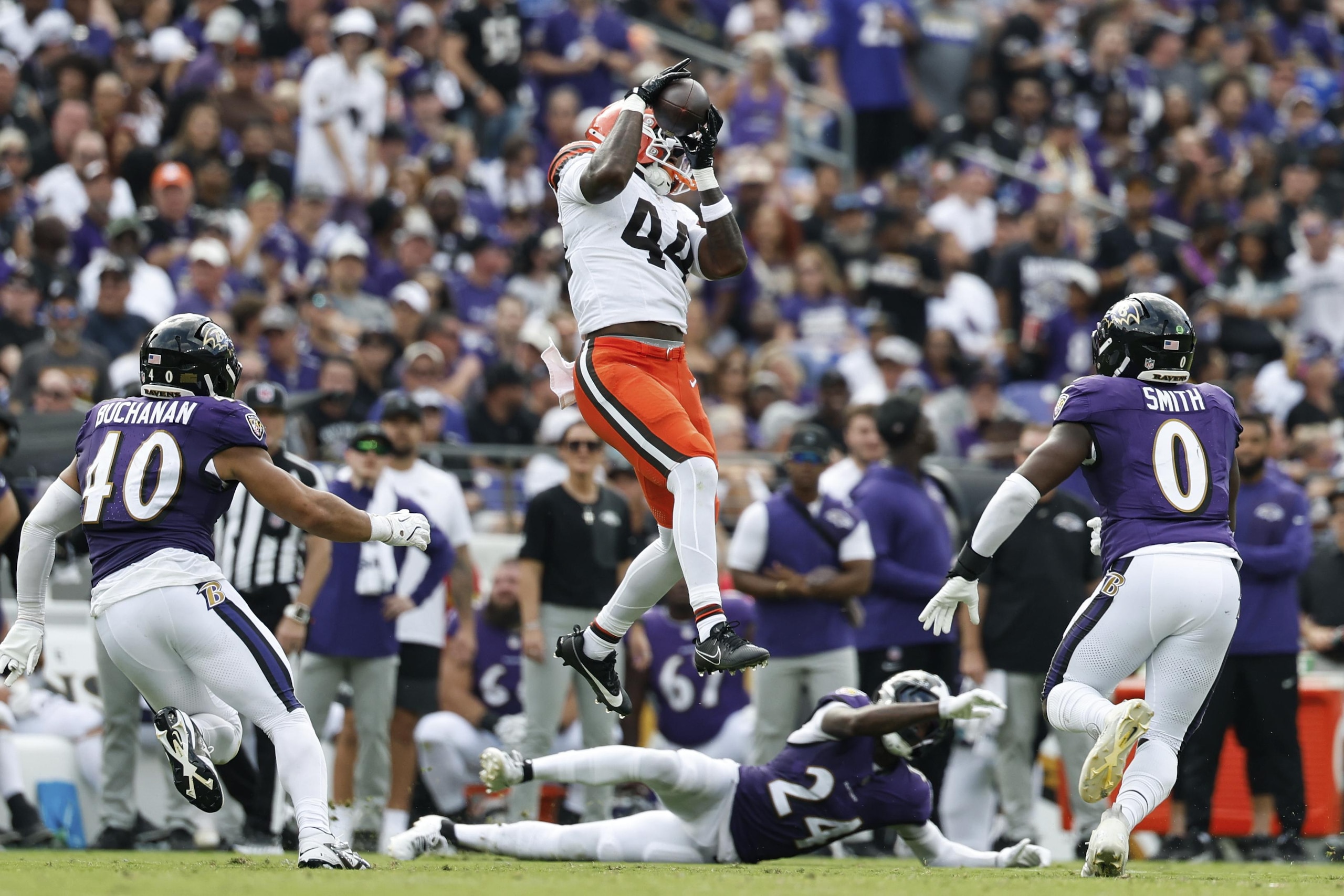Browns Ravens Football