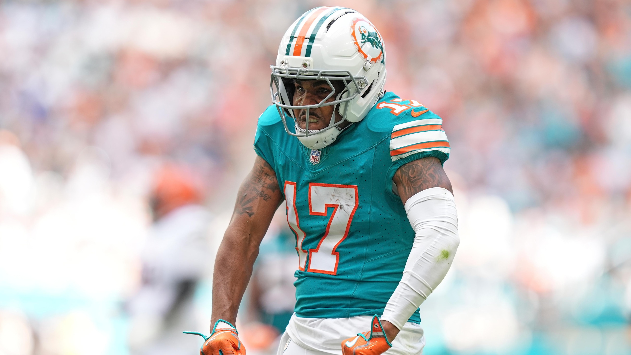 Bengals Dolphins Football