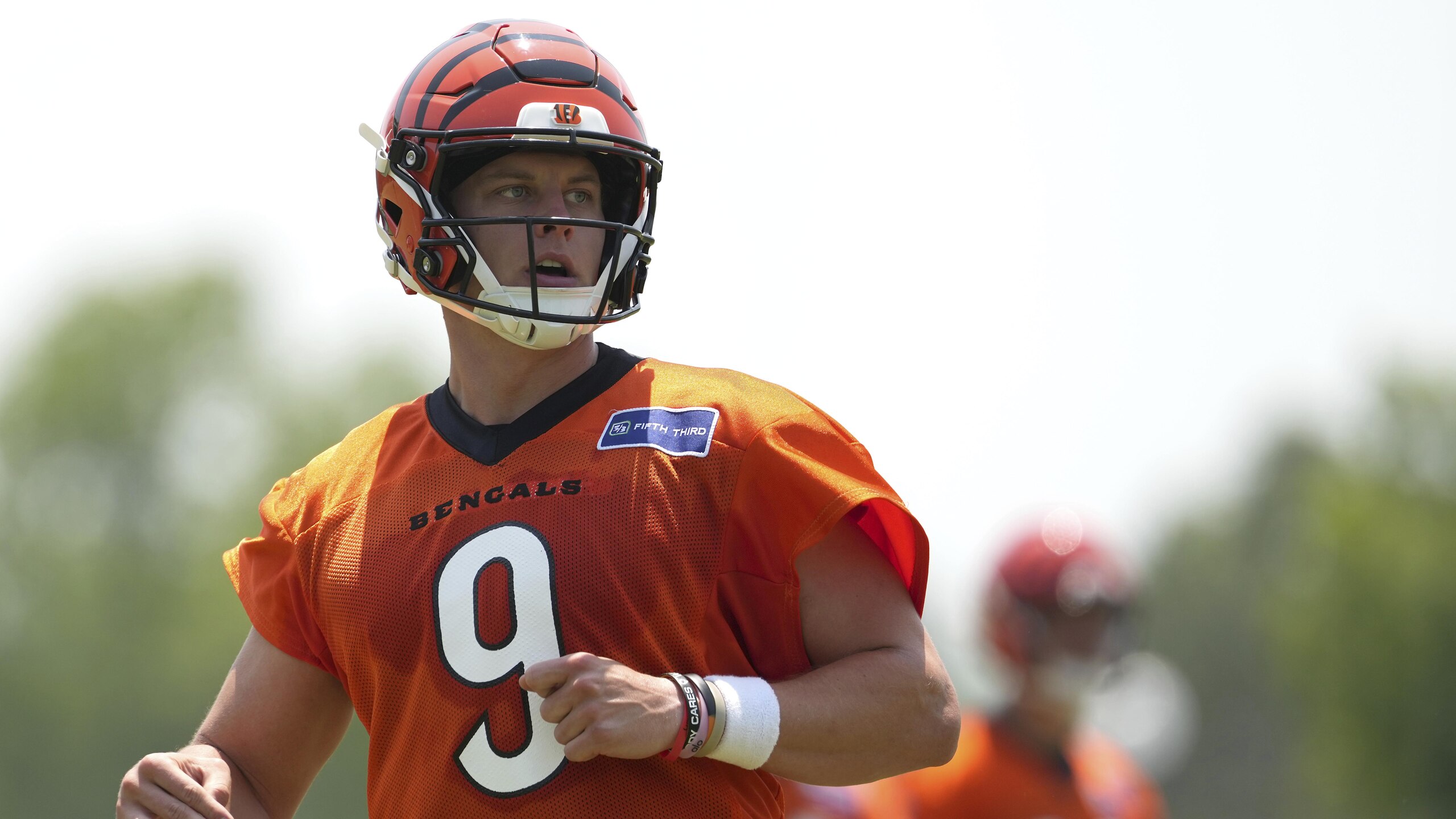 Bengals Football