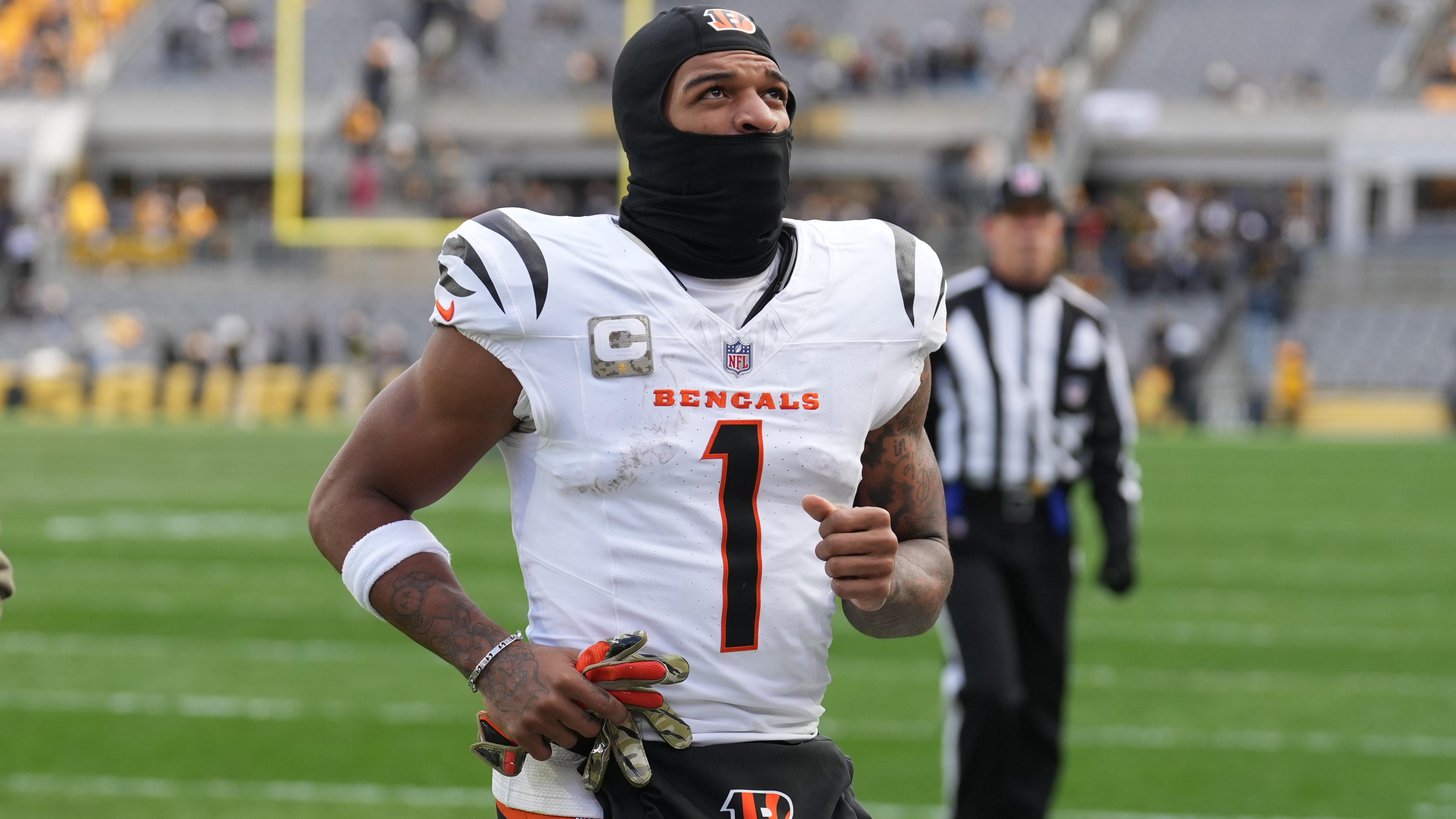 Bengals Steelers Football