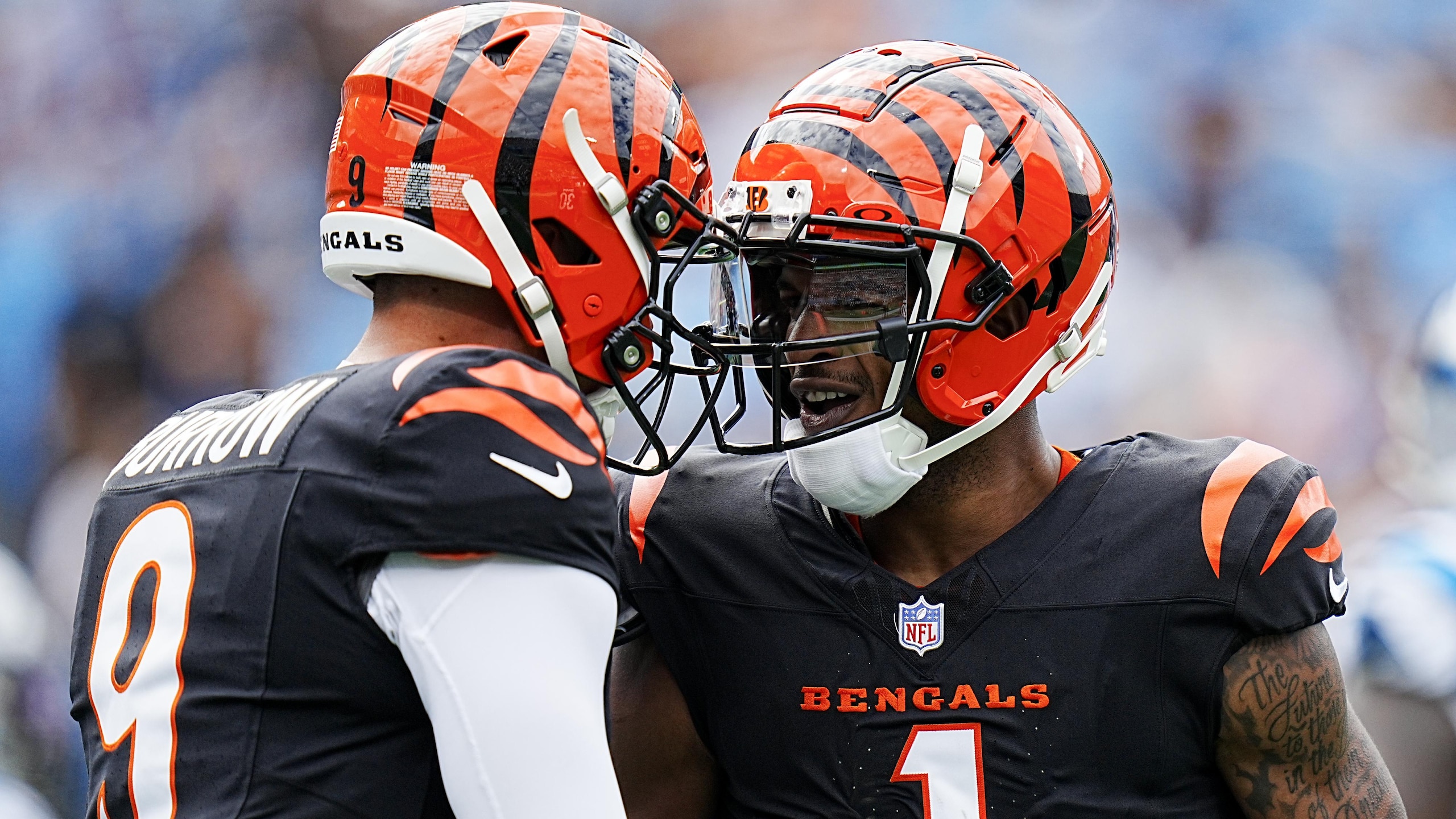 Bengals Panthers Football