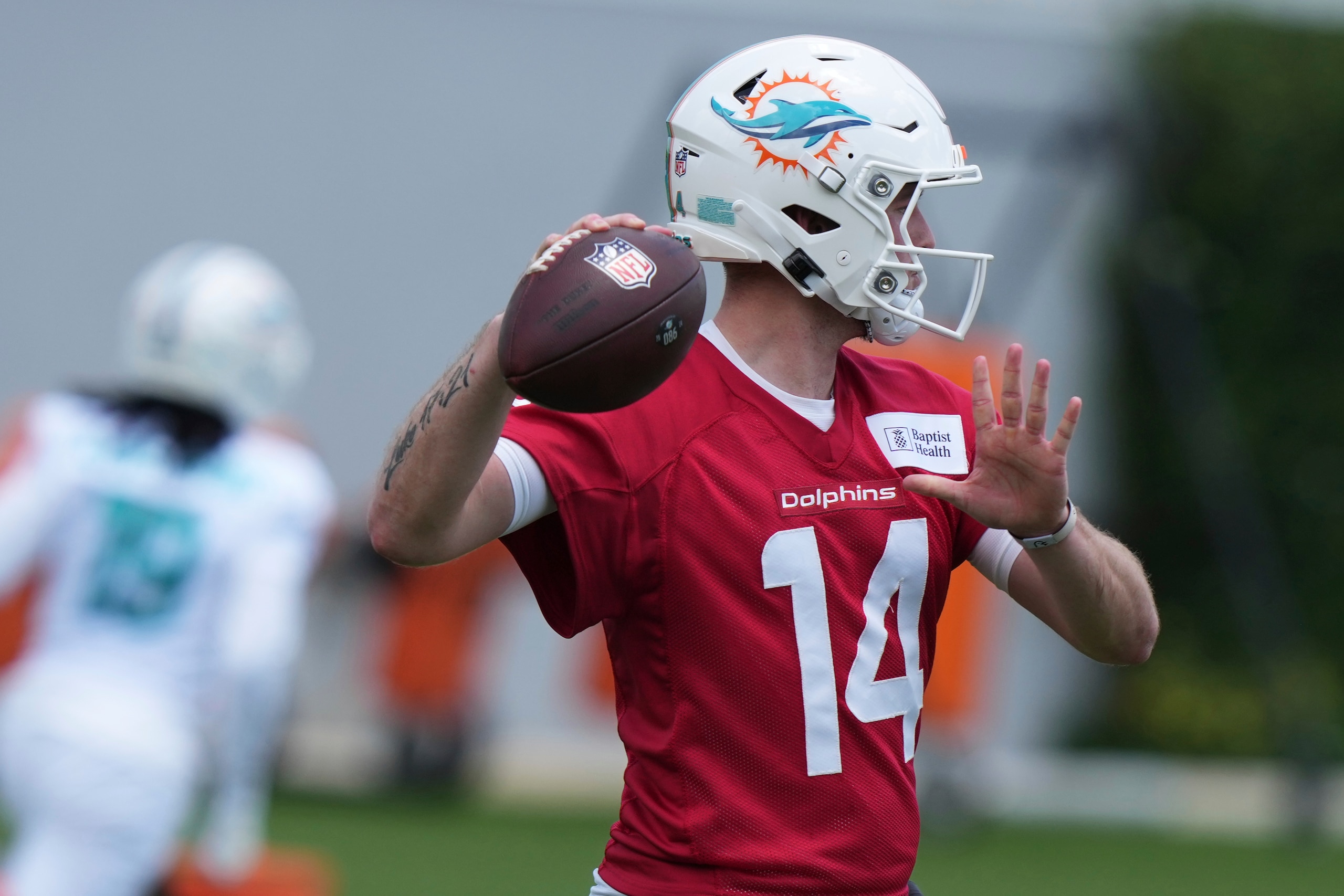 Dolphins Football
