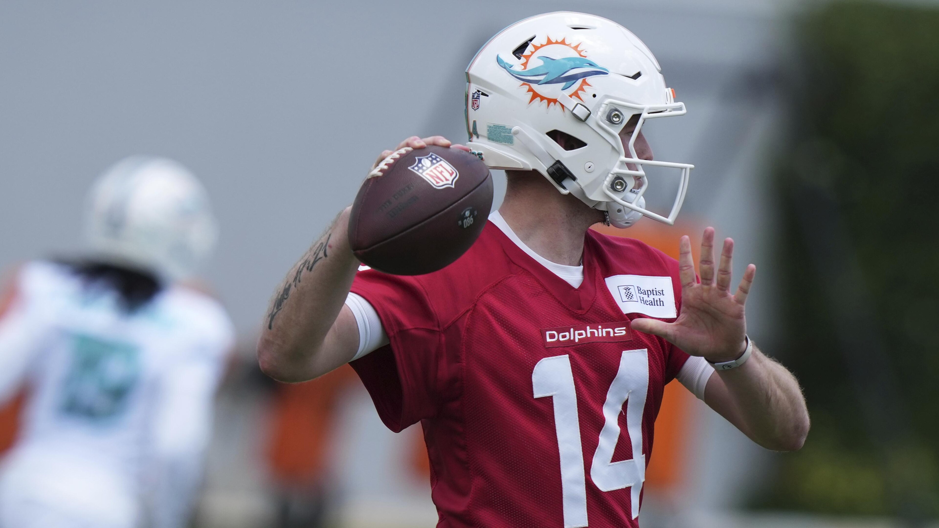 Dolphins Football