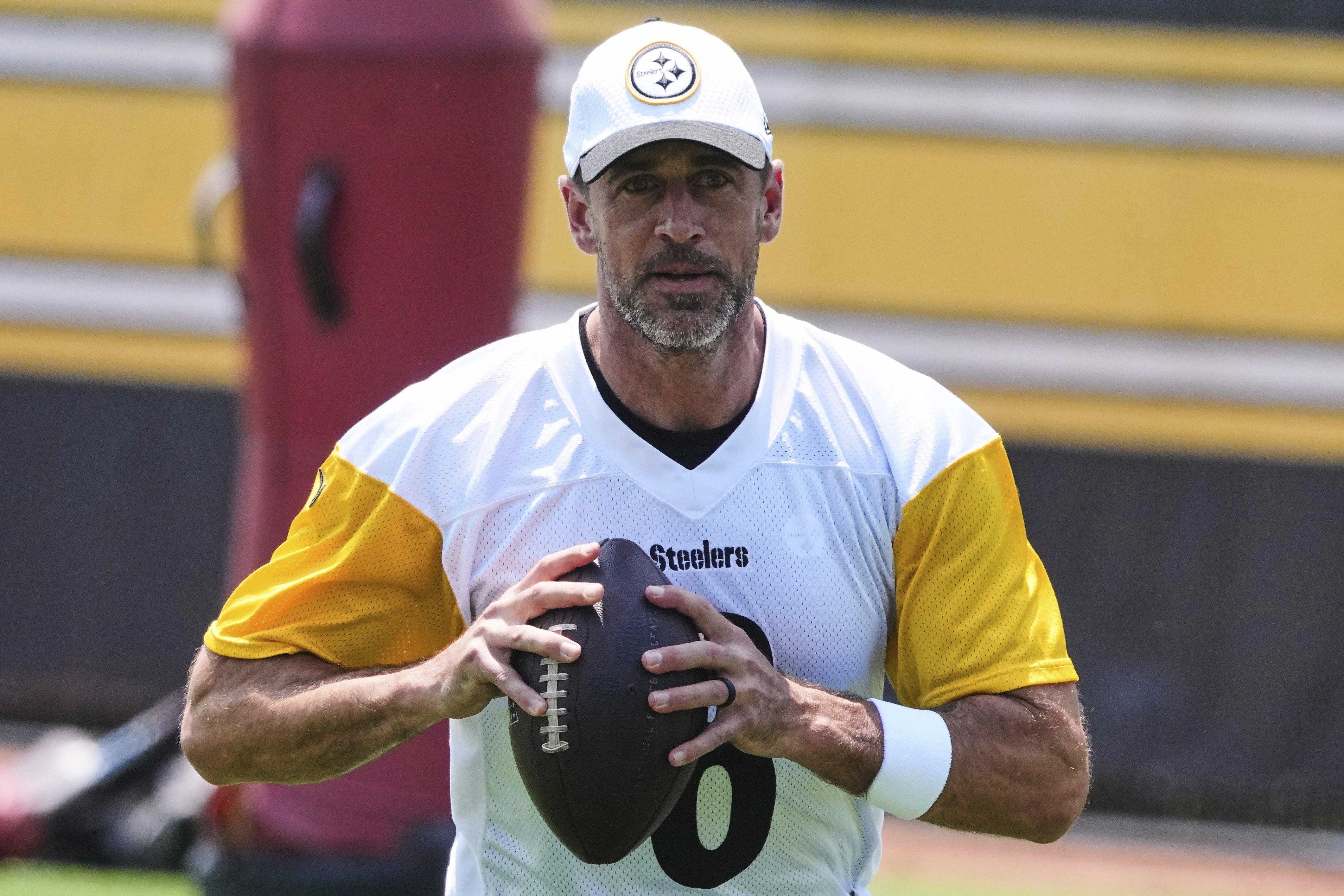 Steelers Metcalf Football