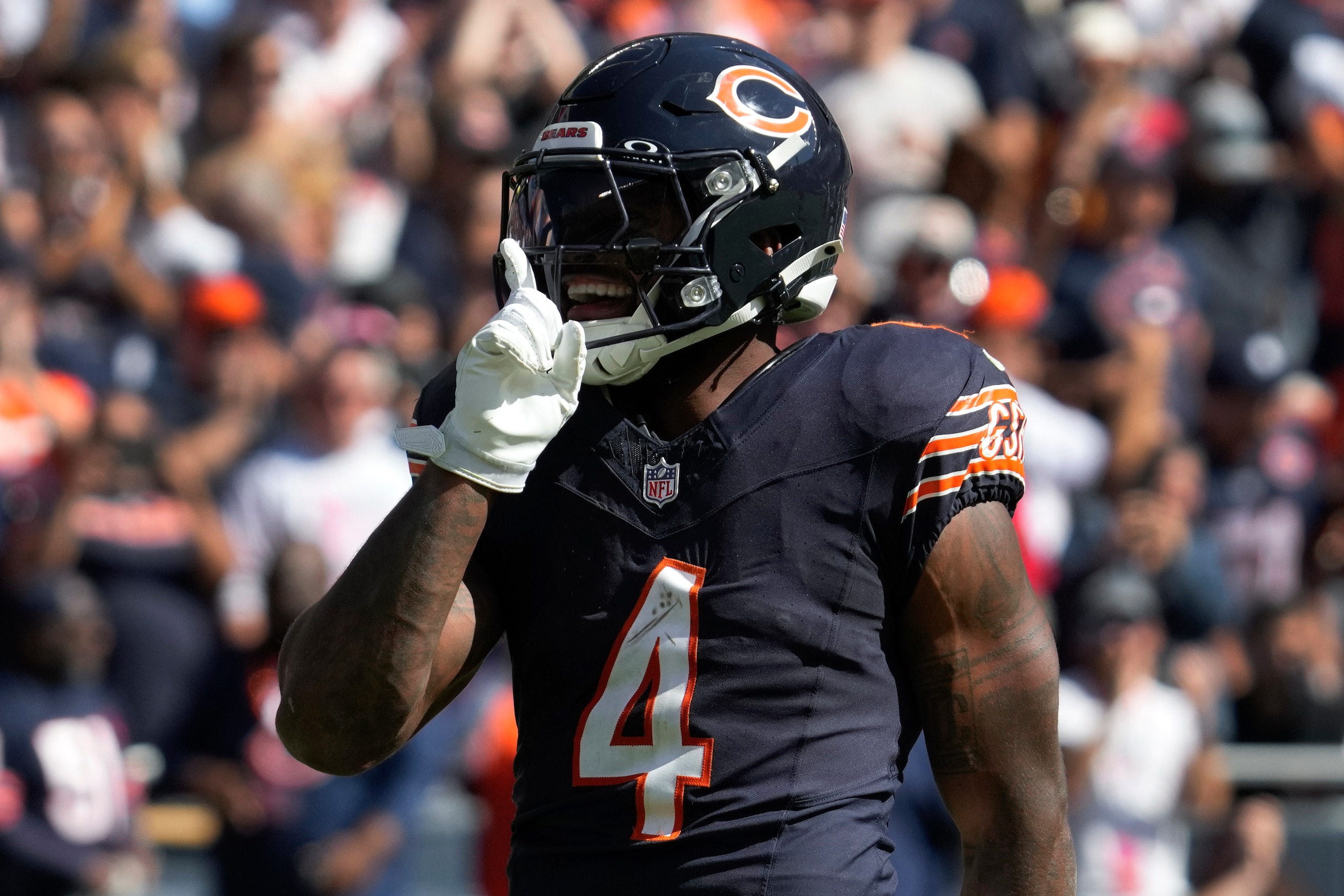Panthers Bears Football