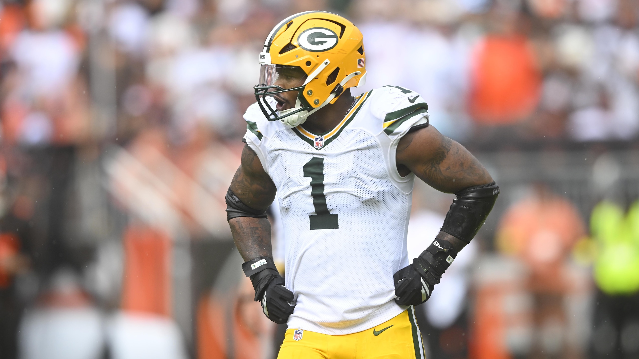 Packers Browns Football