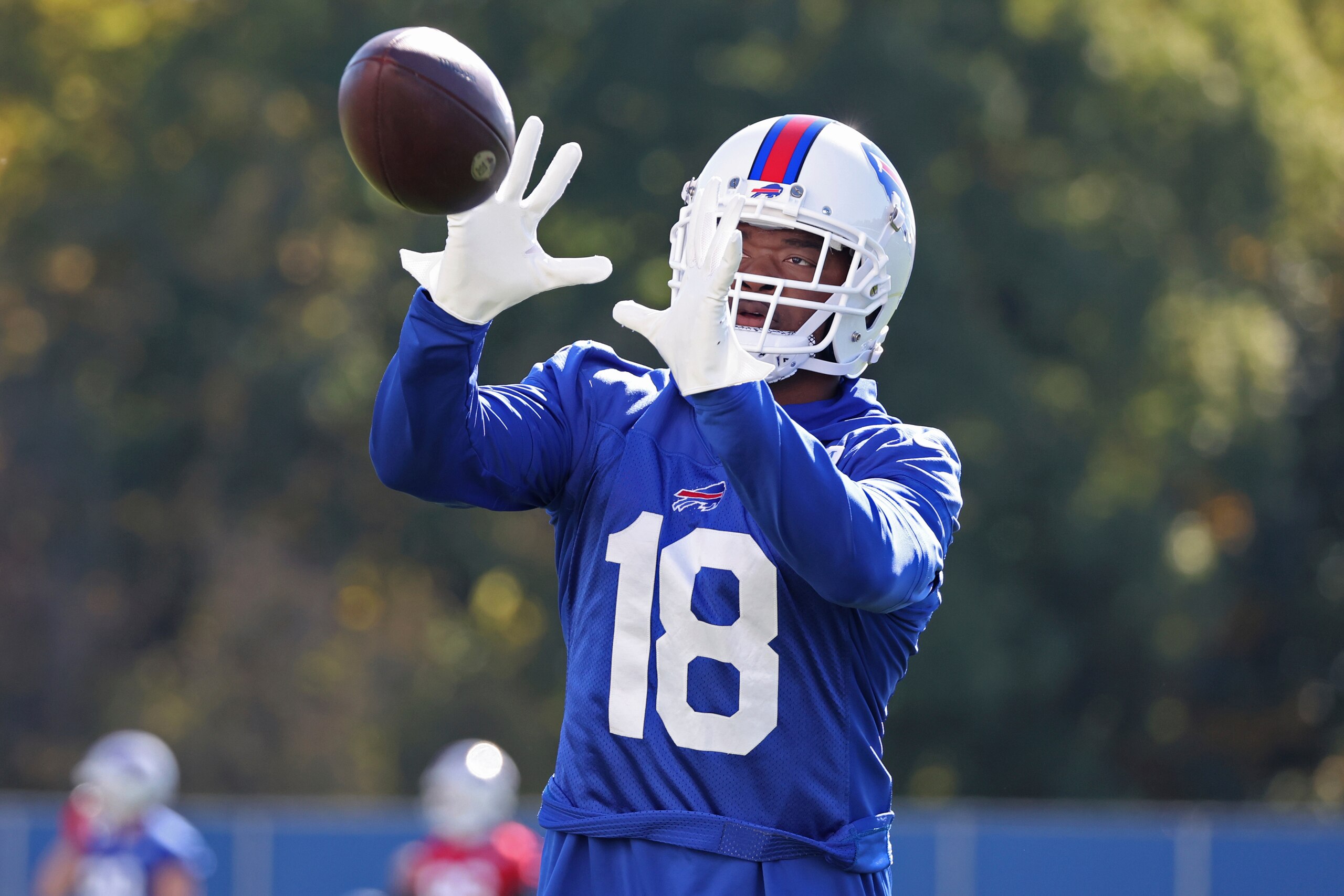 Bills Football