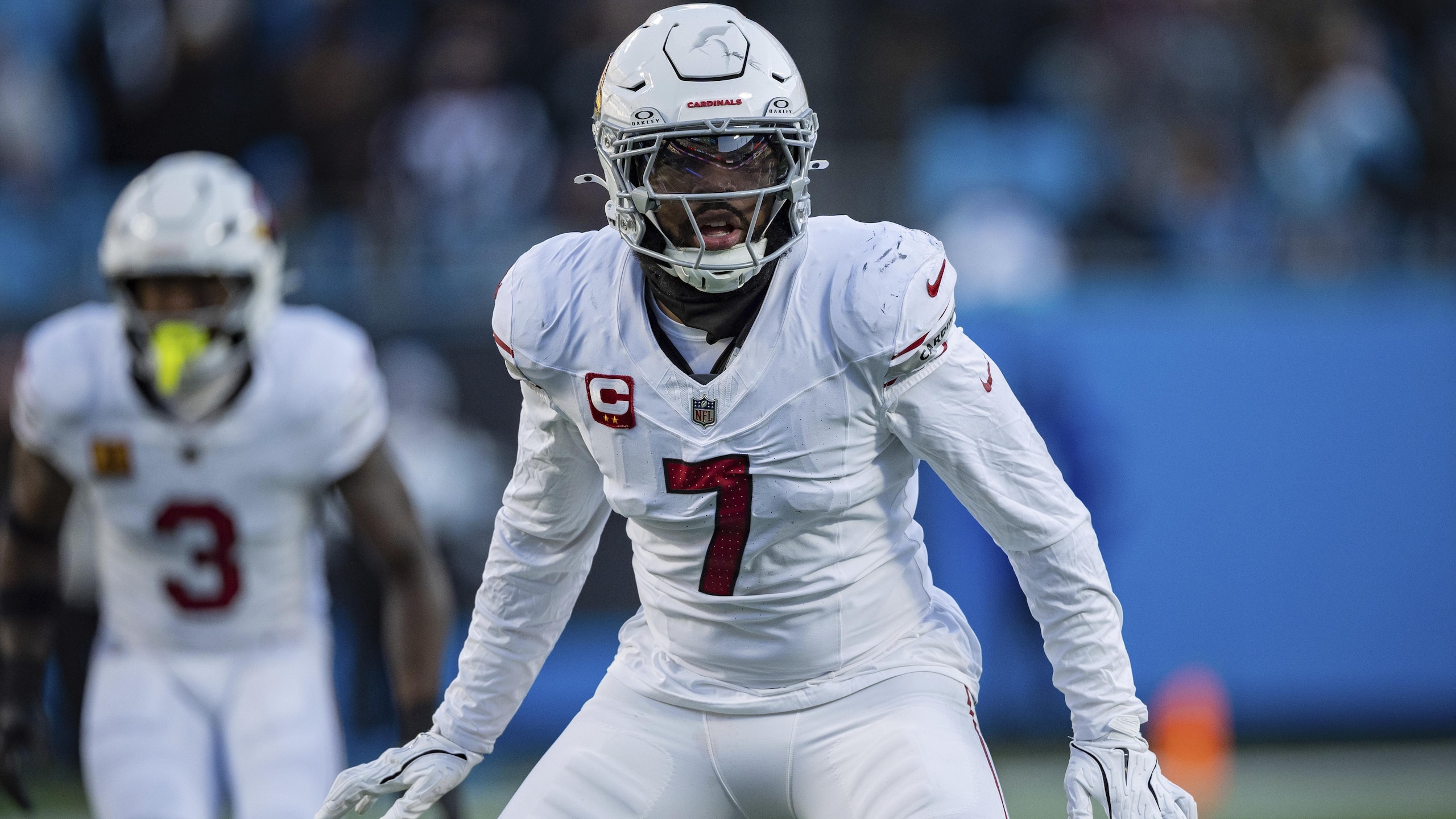 Cardinals Panthers Football