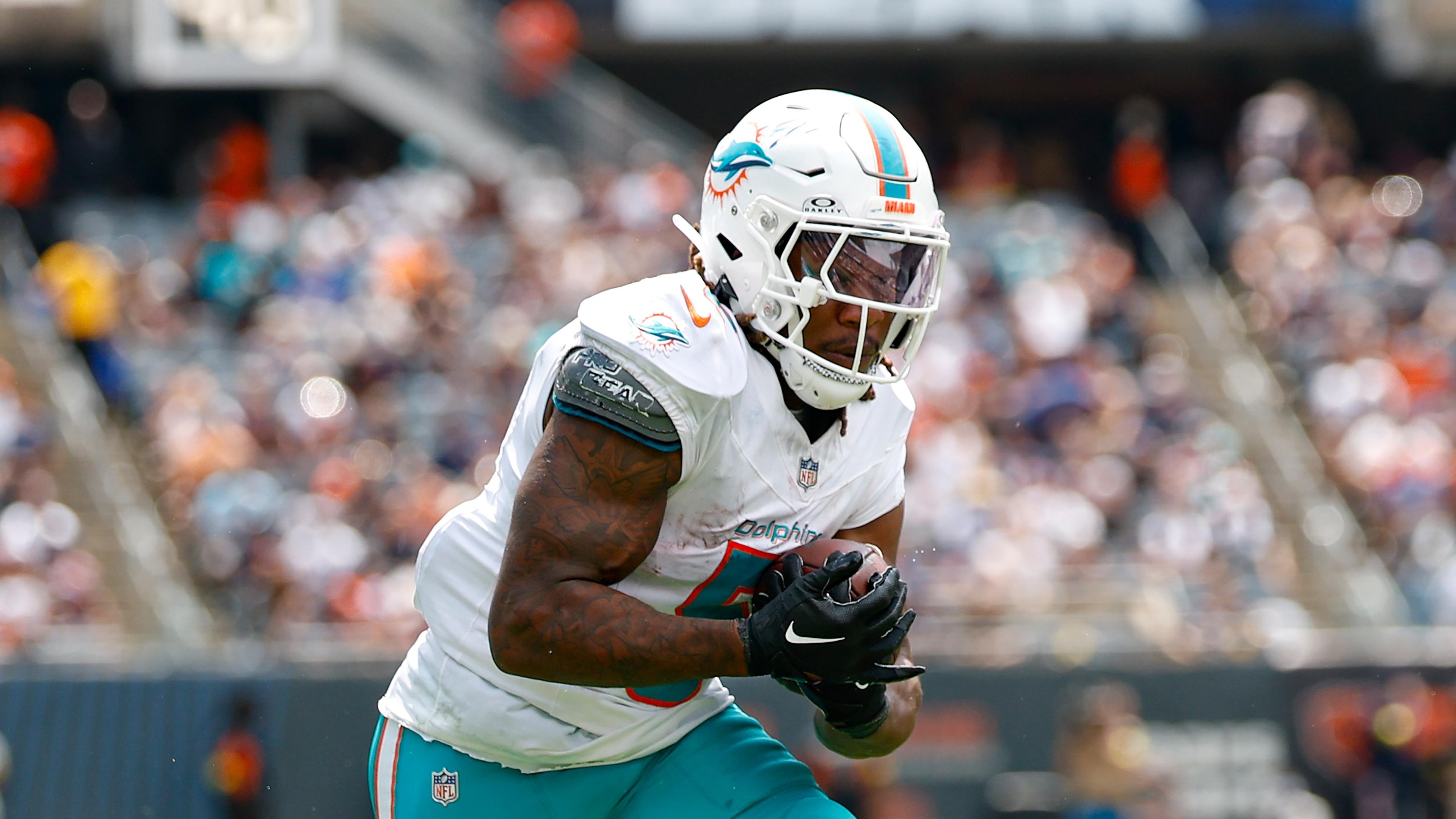Dolphins Football