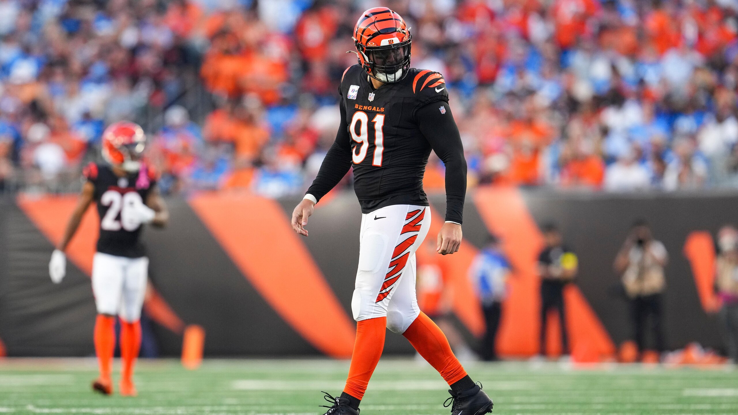 Lions Bengals Football