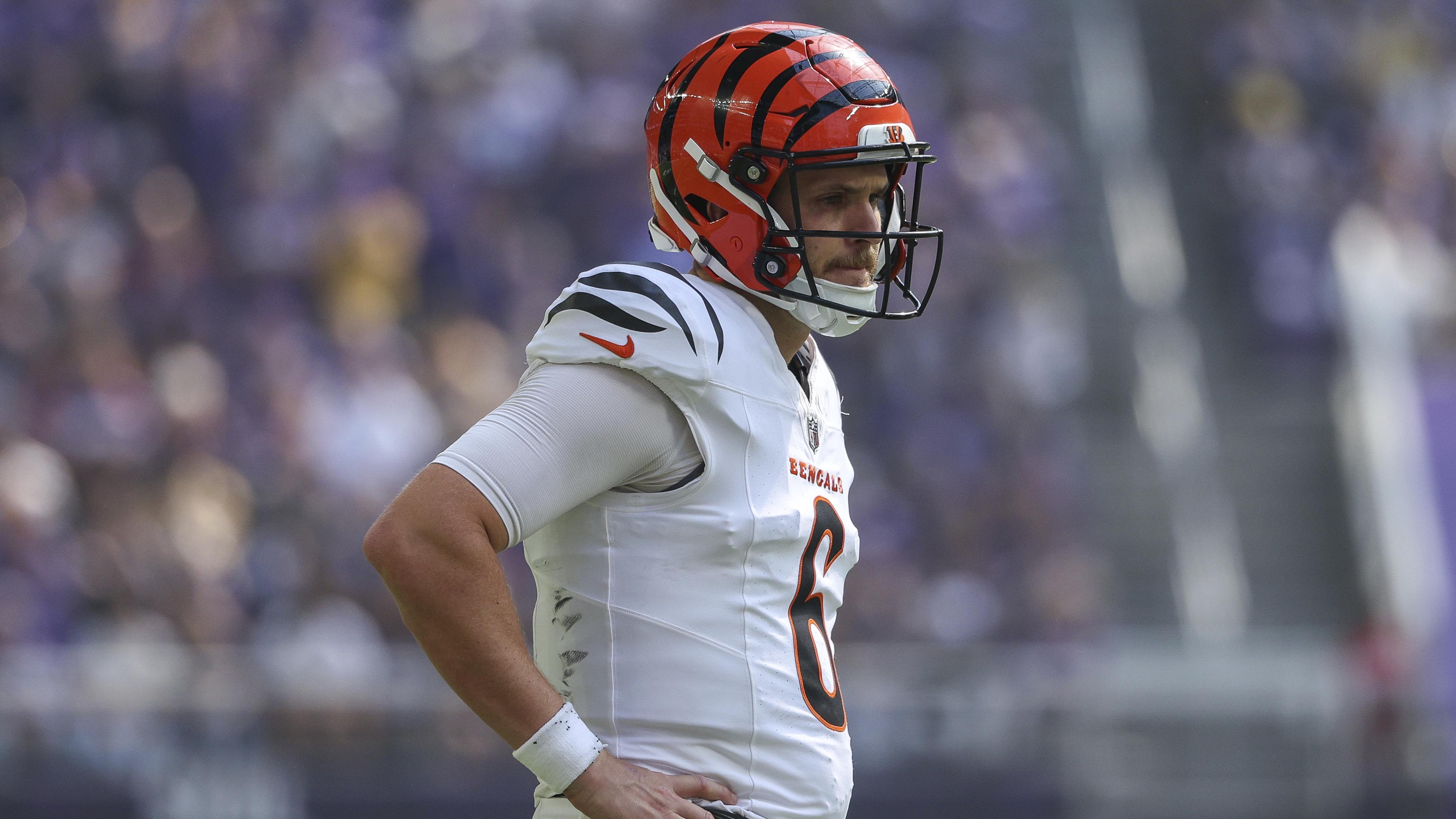 Bengals Vikings Football