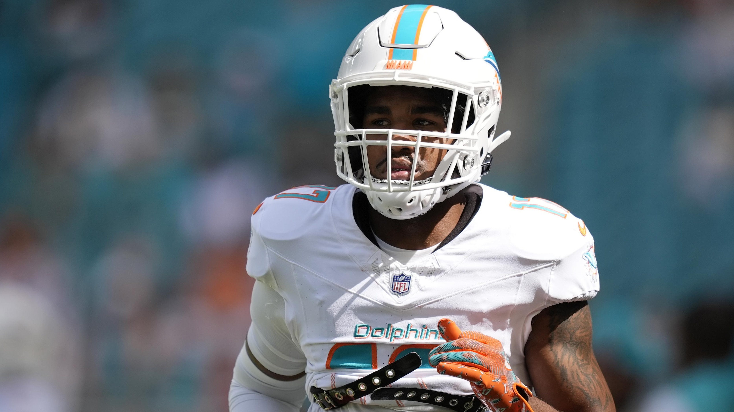 Cardinals Dolphins Football