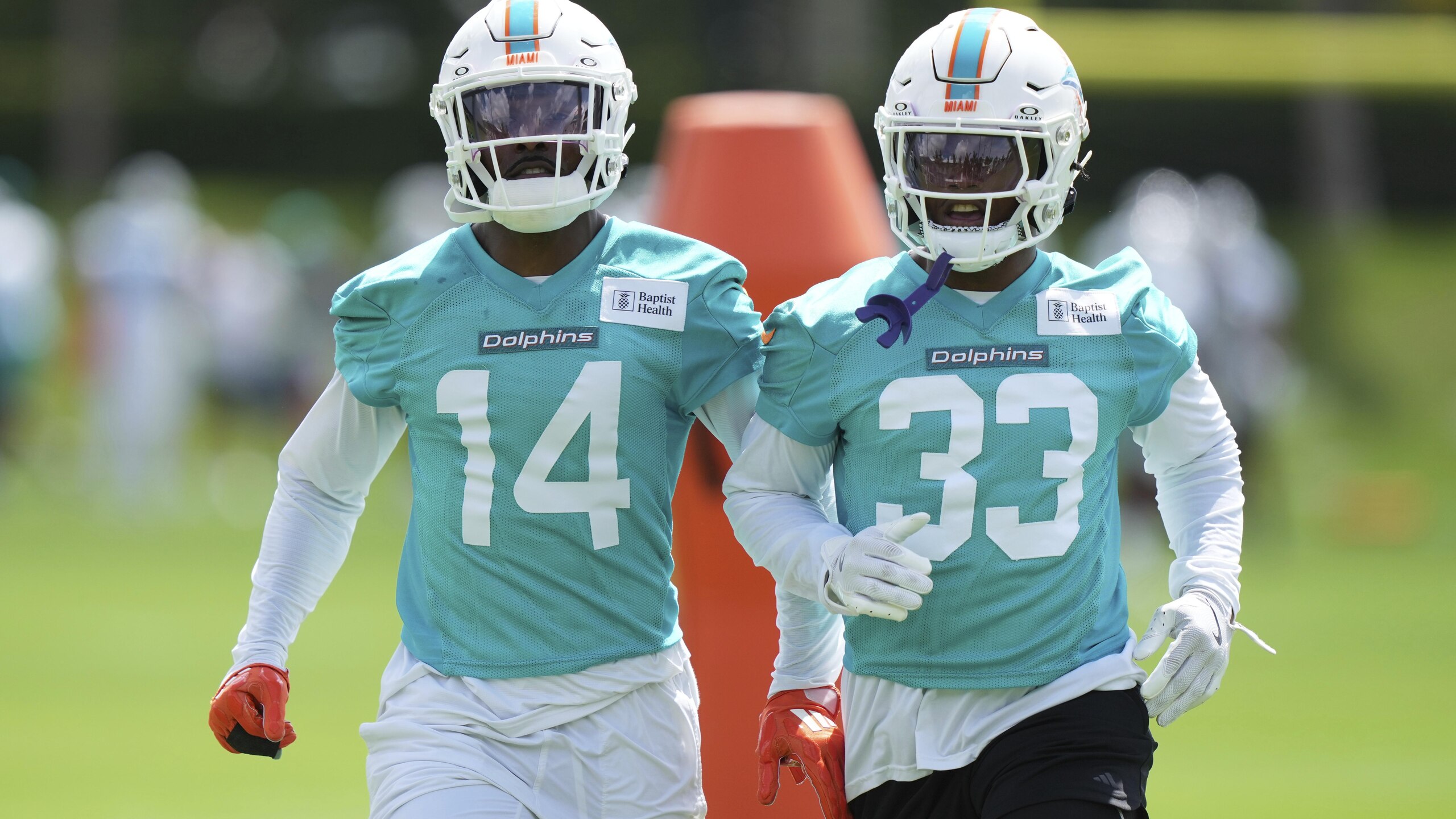Dolphins Football