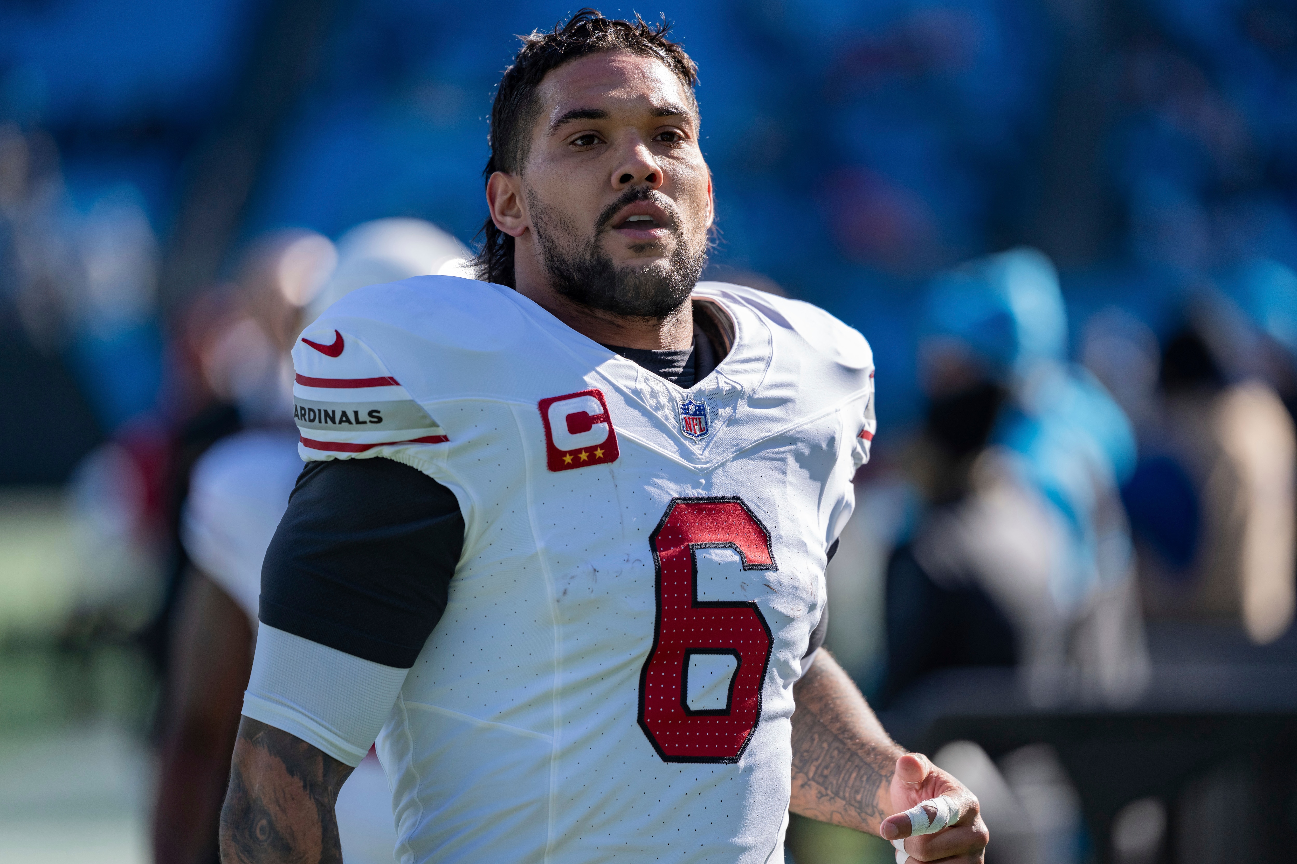 Cardinals Panthers Football