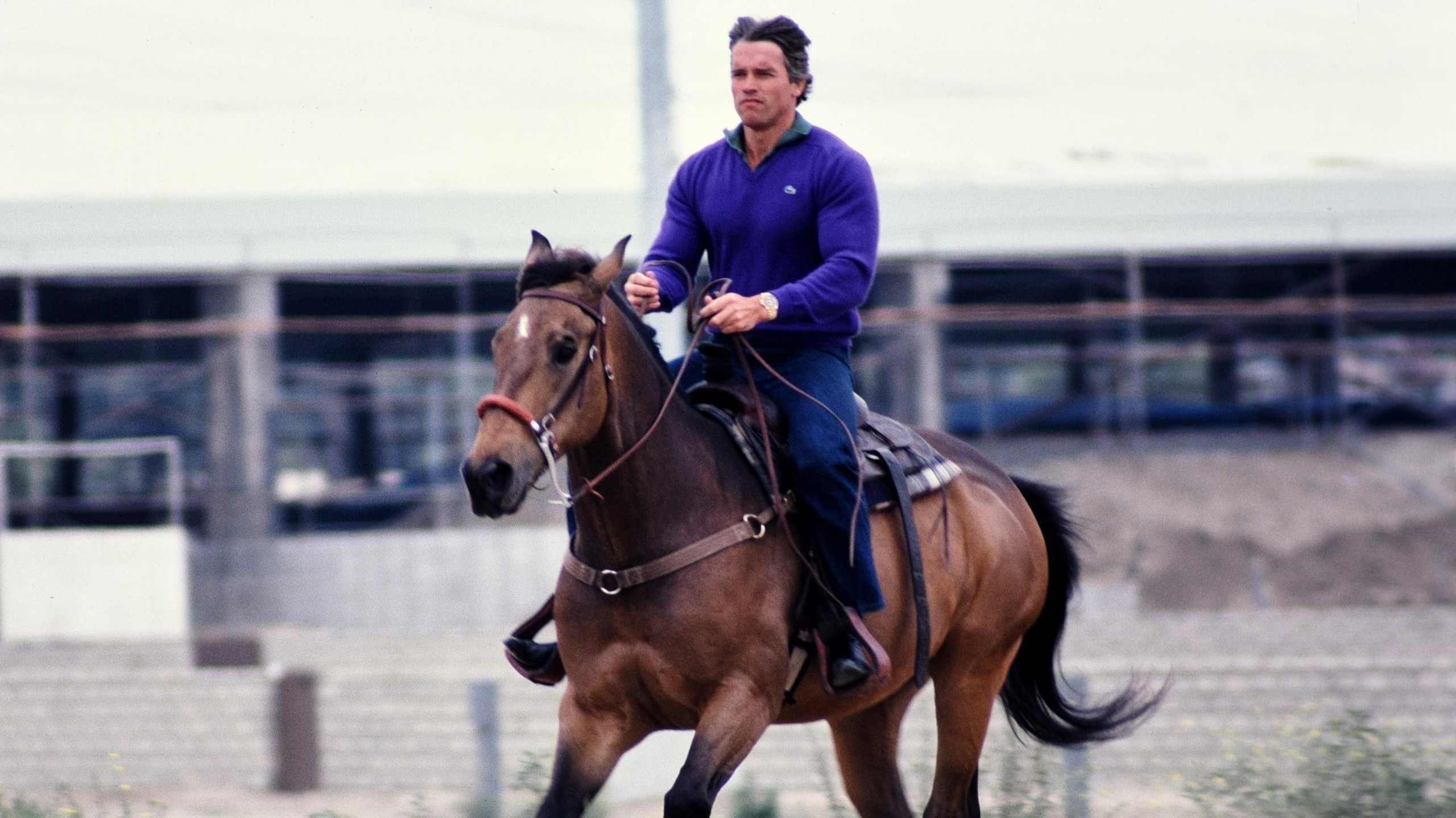 Arnold Schwarzenegger...