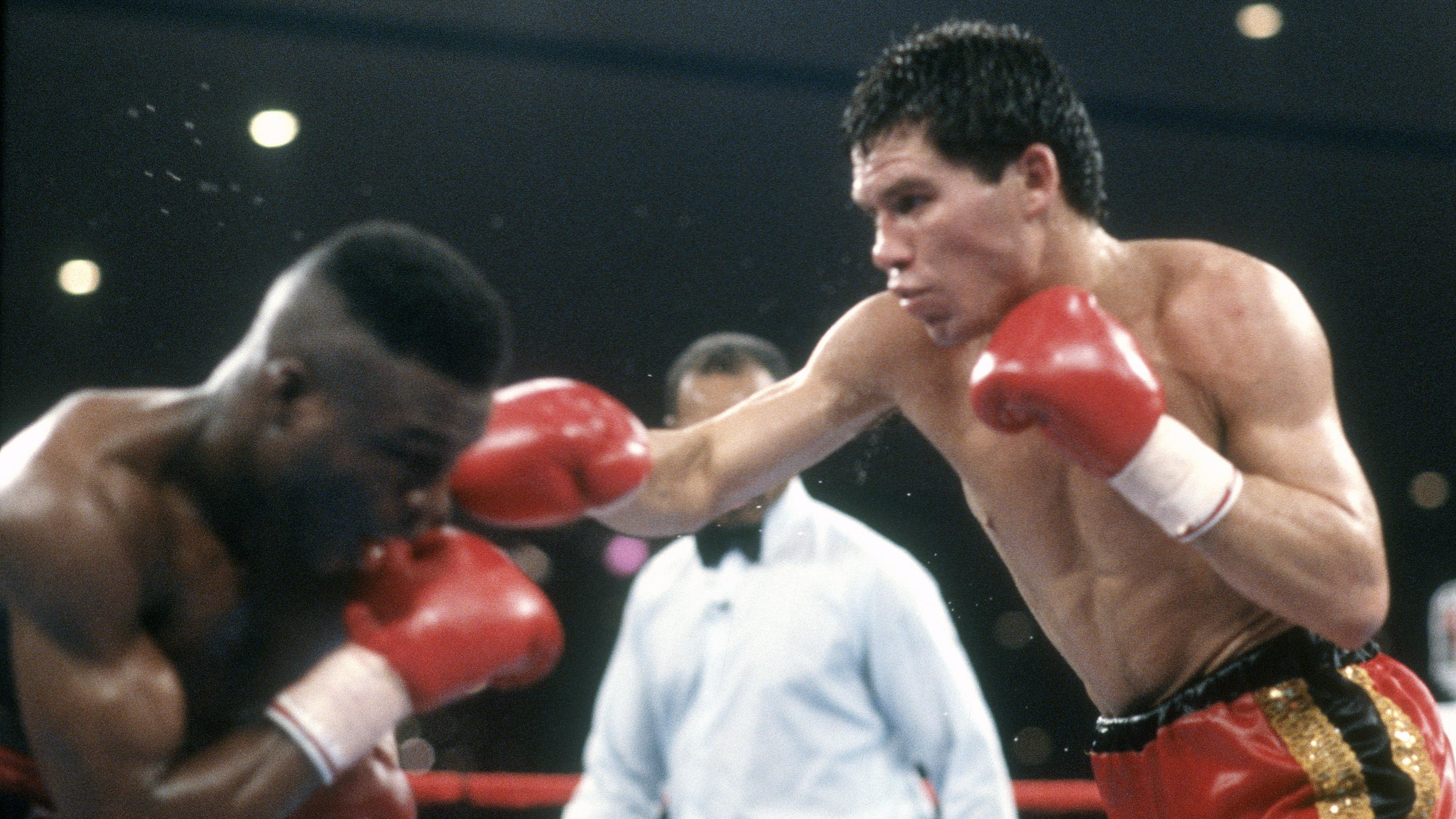 WBC and  IBF Light Welterweight Tittle Fight - Julio Cezar Chavez v Meldrick Taylor