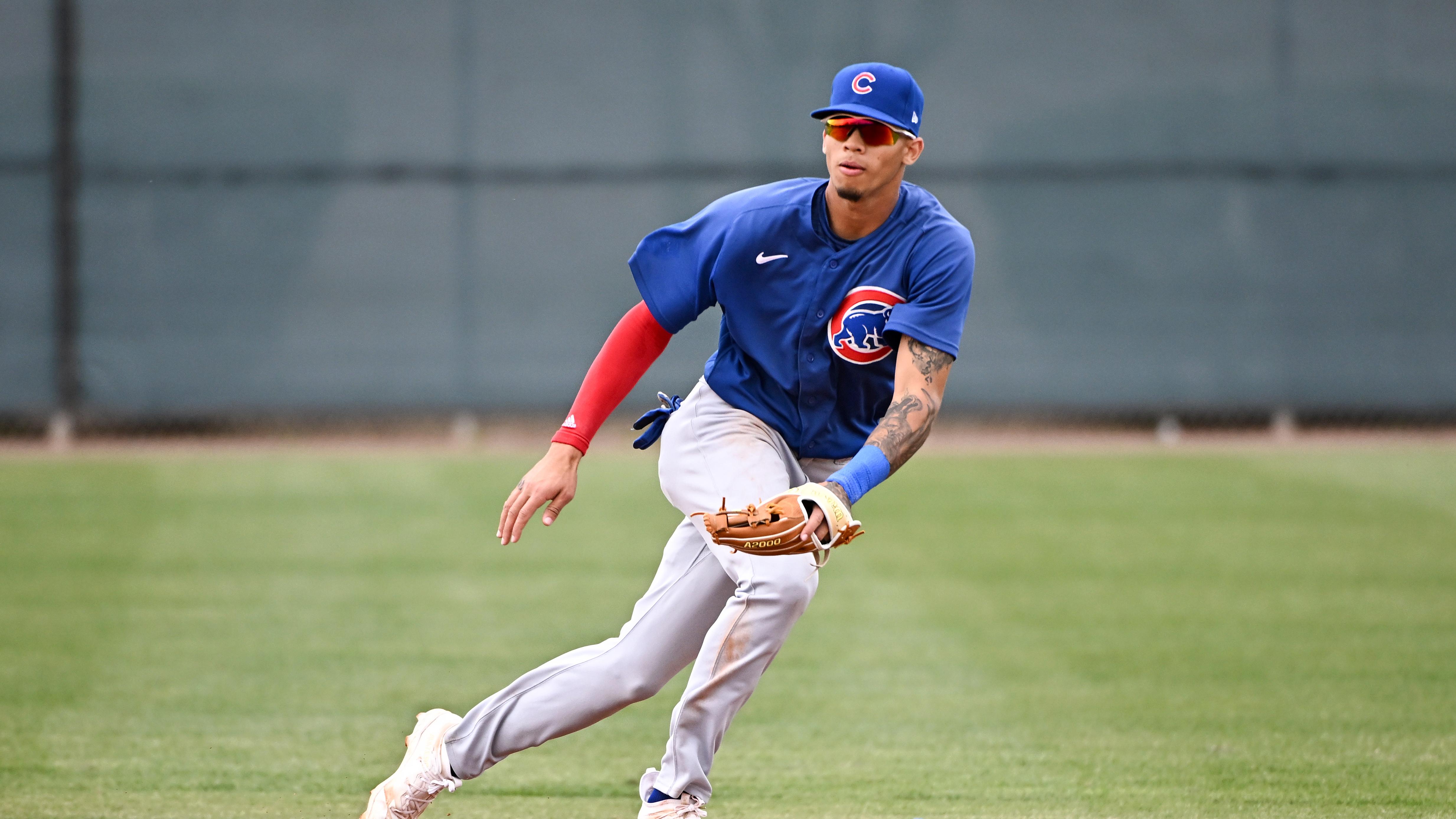 Los Angeles Angels v Chicago Cubs minor leaguers