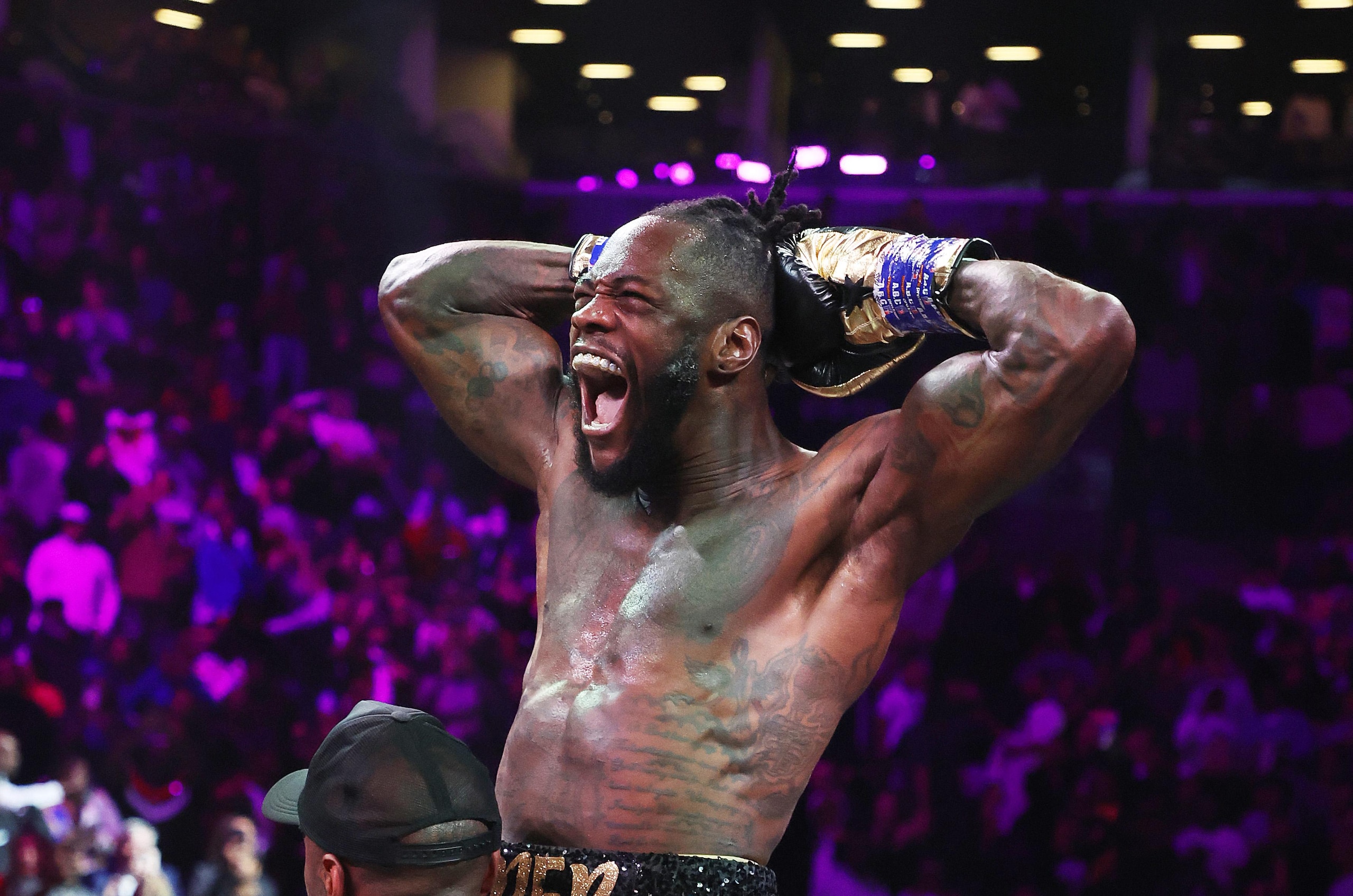 Deontay Wilder v Robert Helenius