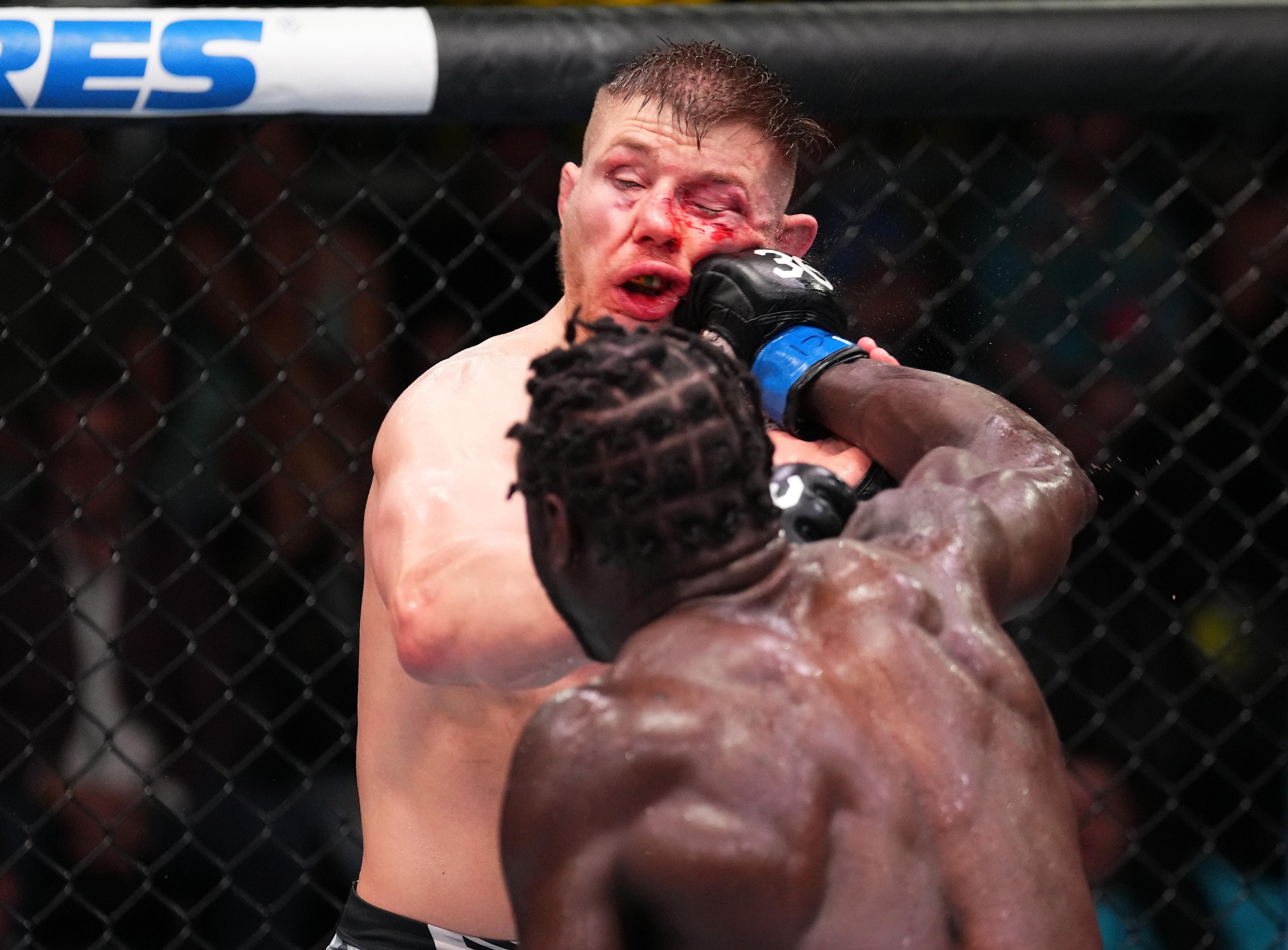 UFC Fight Night: Vettori v Cannonier UFC Fight Night: Vettori v Cannonier