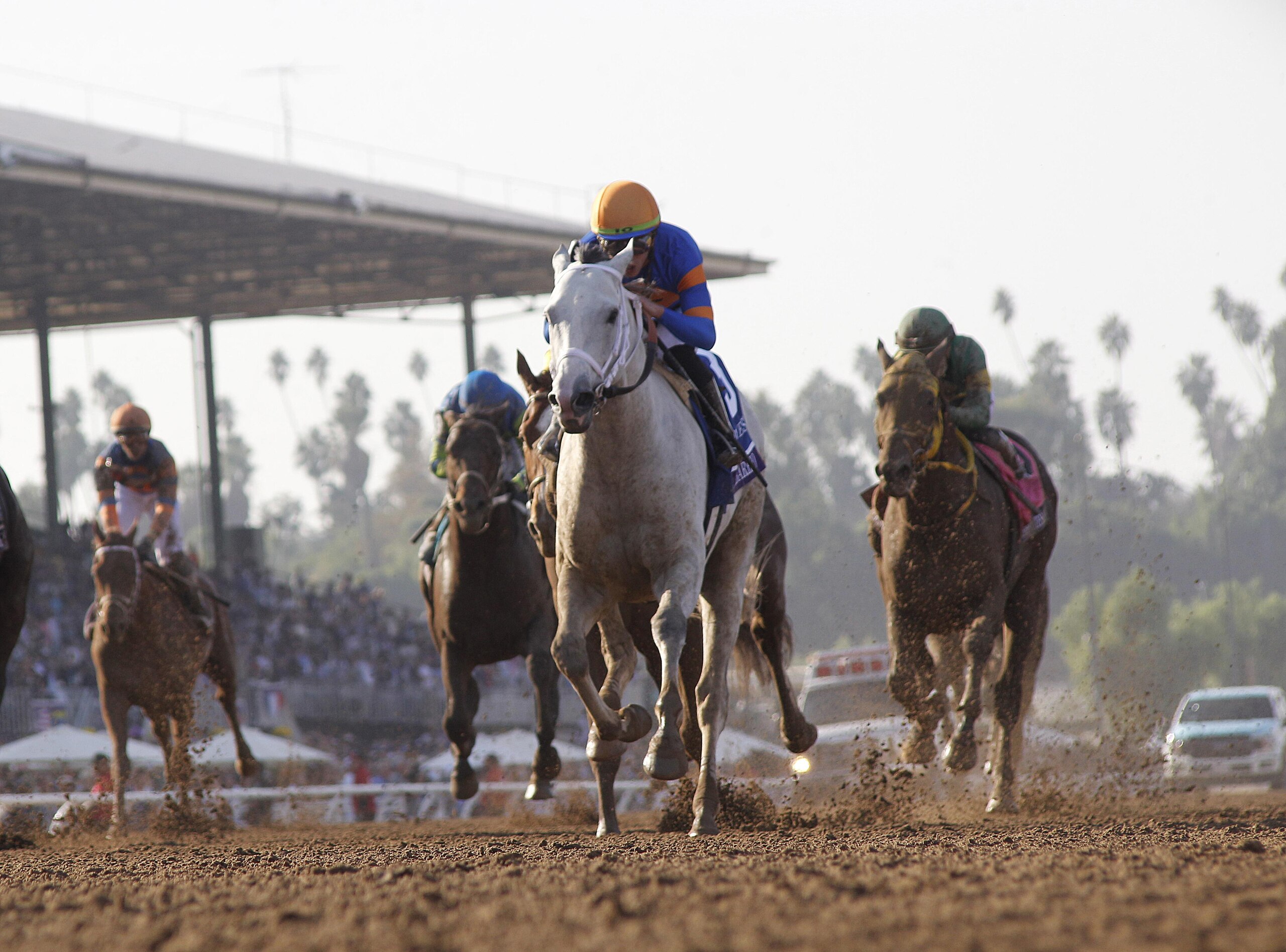 2023 Breeders' Cup World Championships - Previews 2023 Breeders' Cup World Championships - Previews