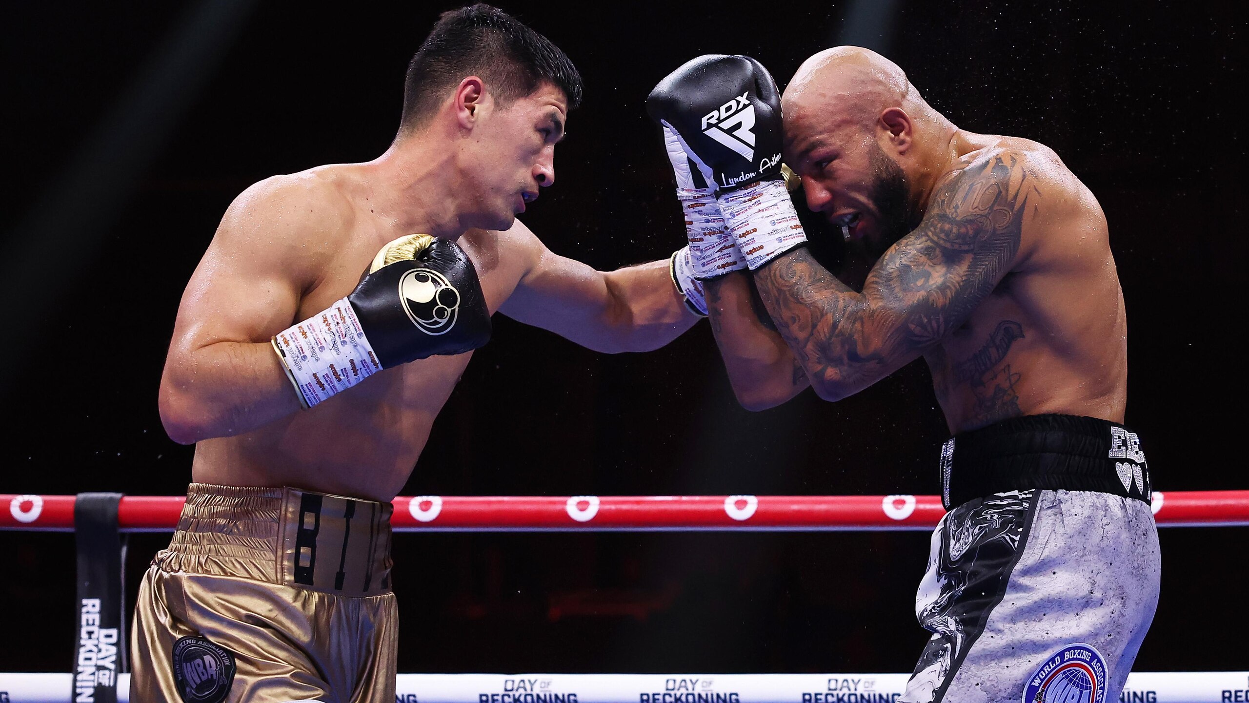 Day of Reckoning: Fight Night