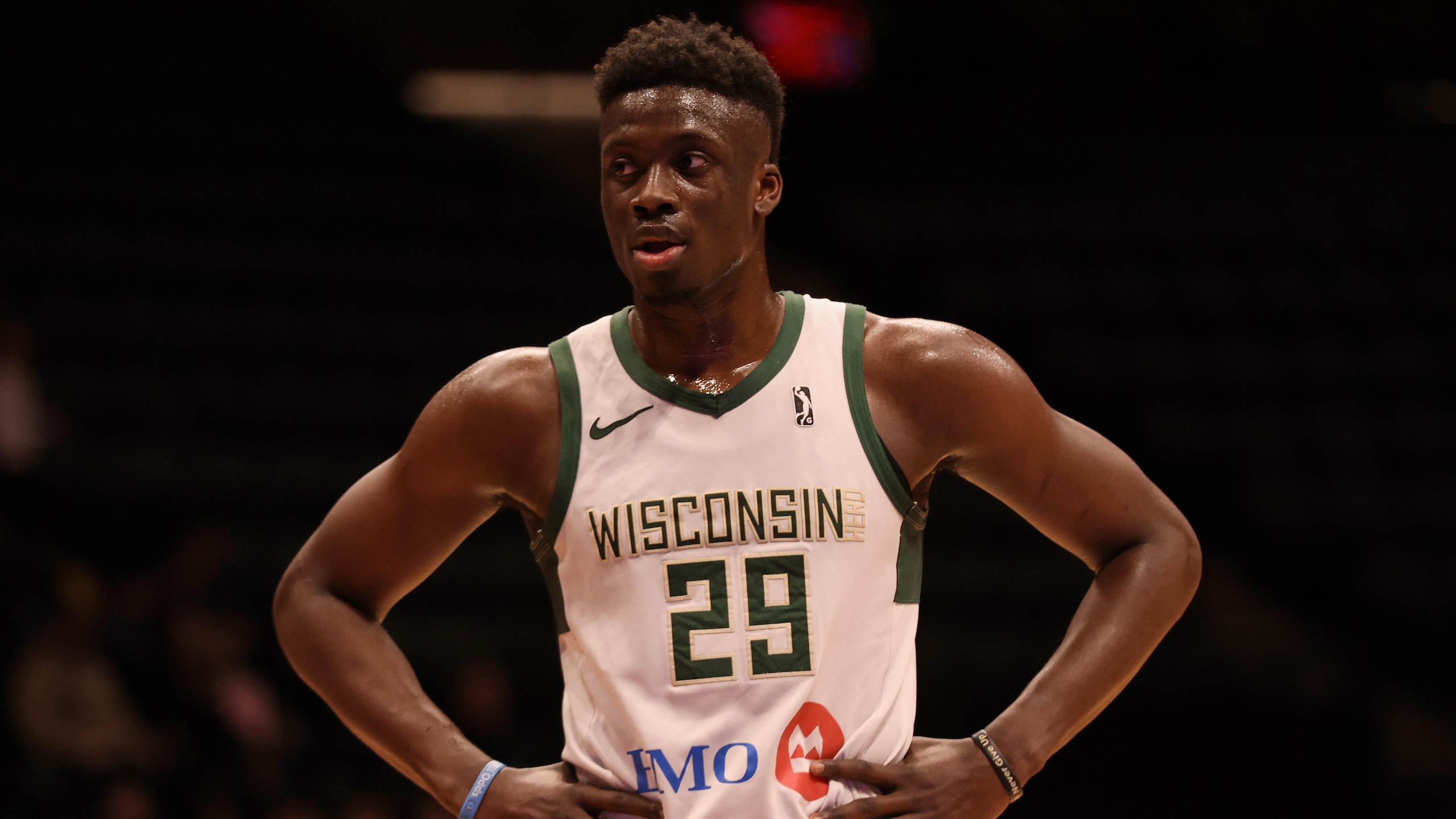 Long Island Nets vs Wisconsin Herd