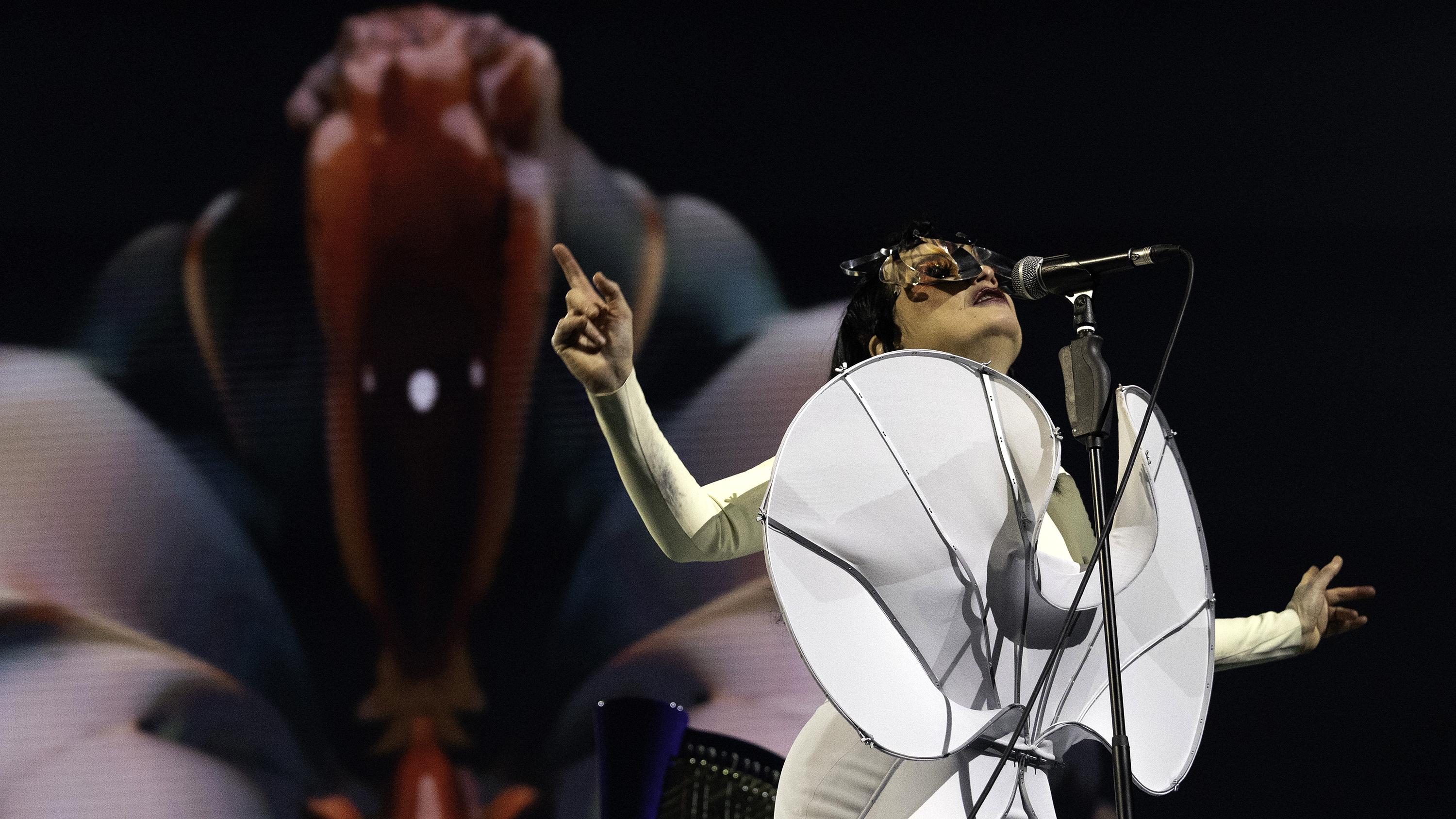 Bjork Concert In St Herblain