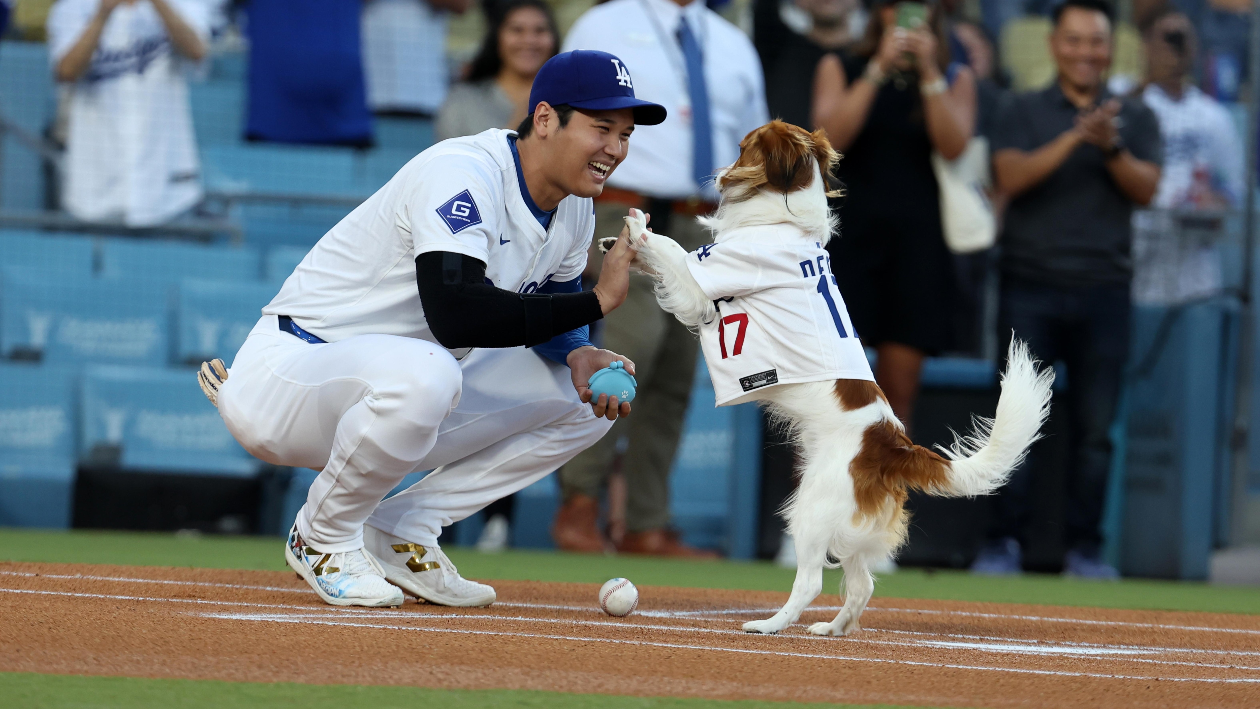 Baltimore Orioles v Los Angeles Dodgers