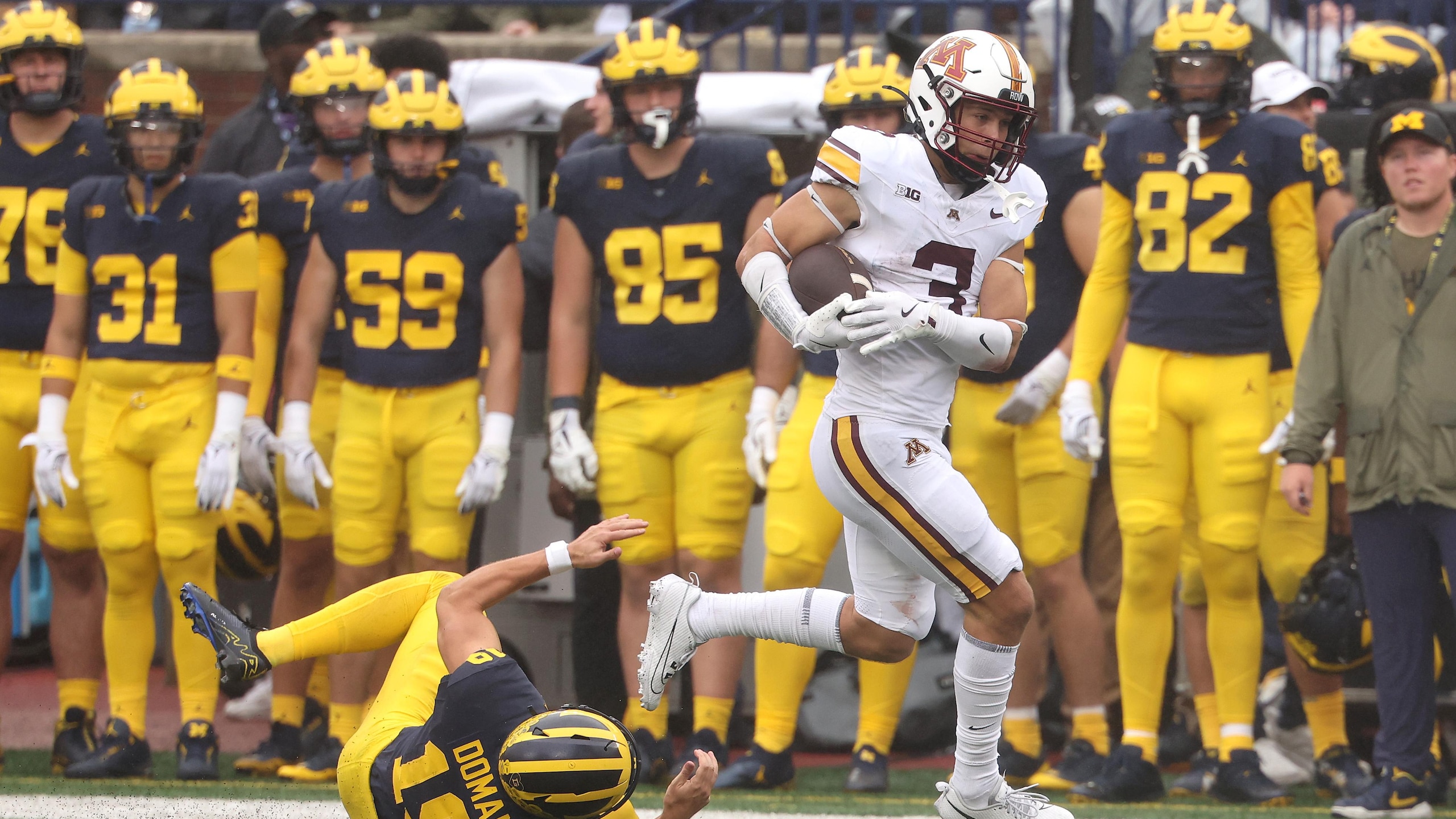 Minnesota v Michigan