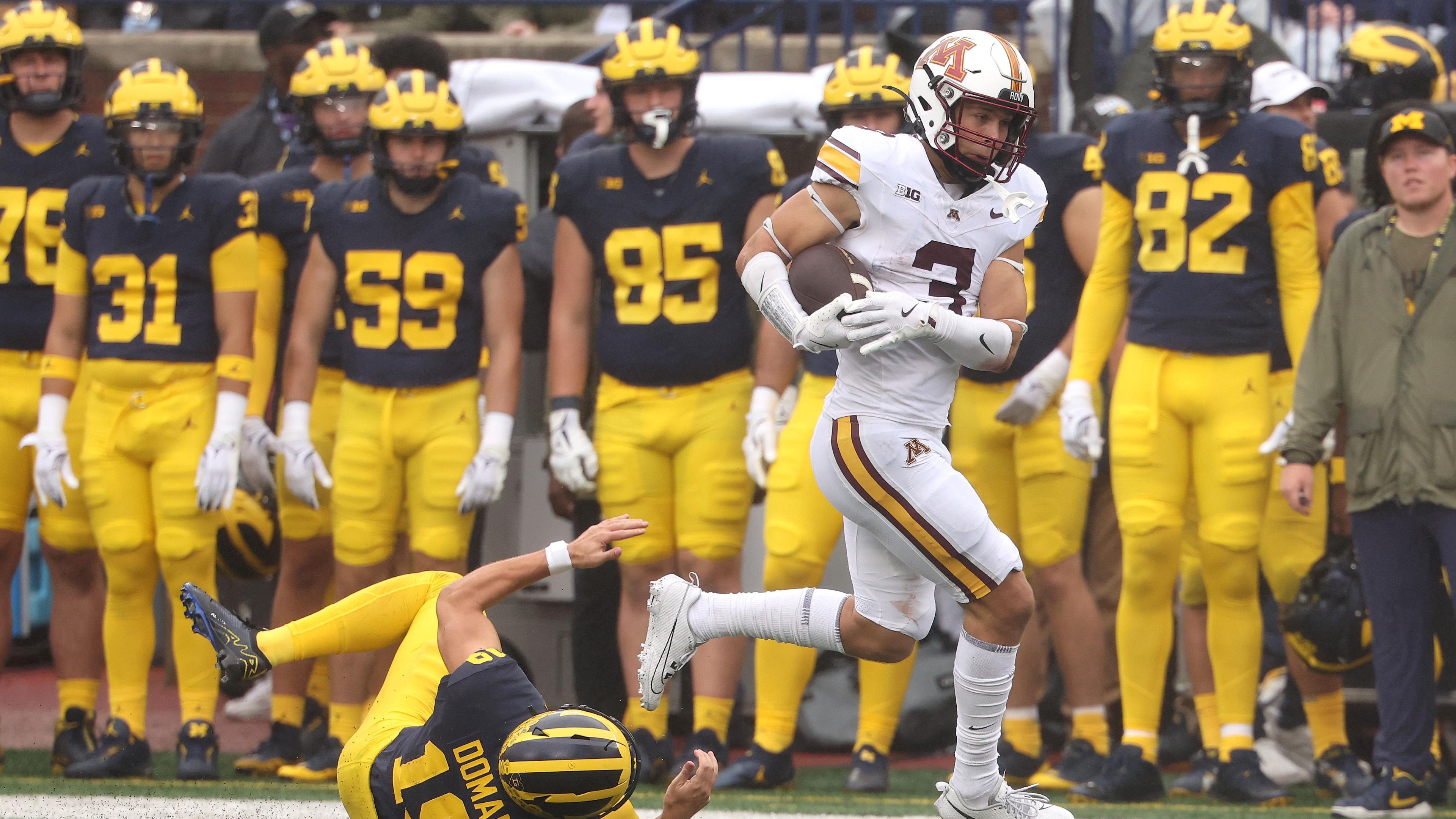 Minnesota v Michigan Minnesota v Michigan