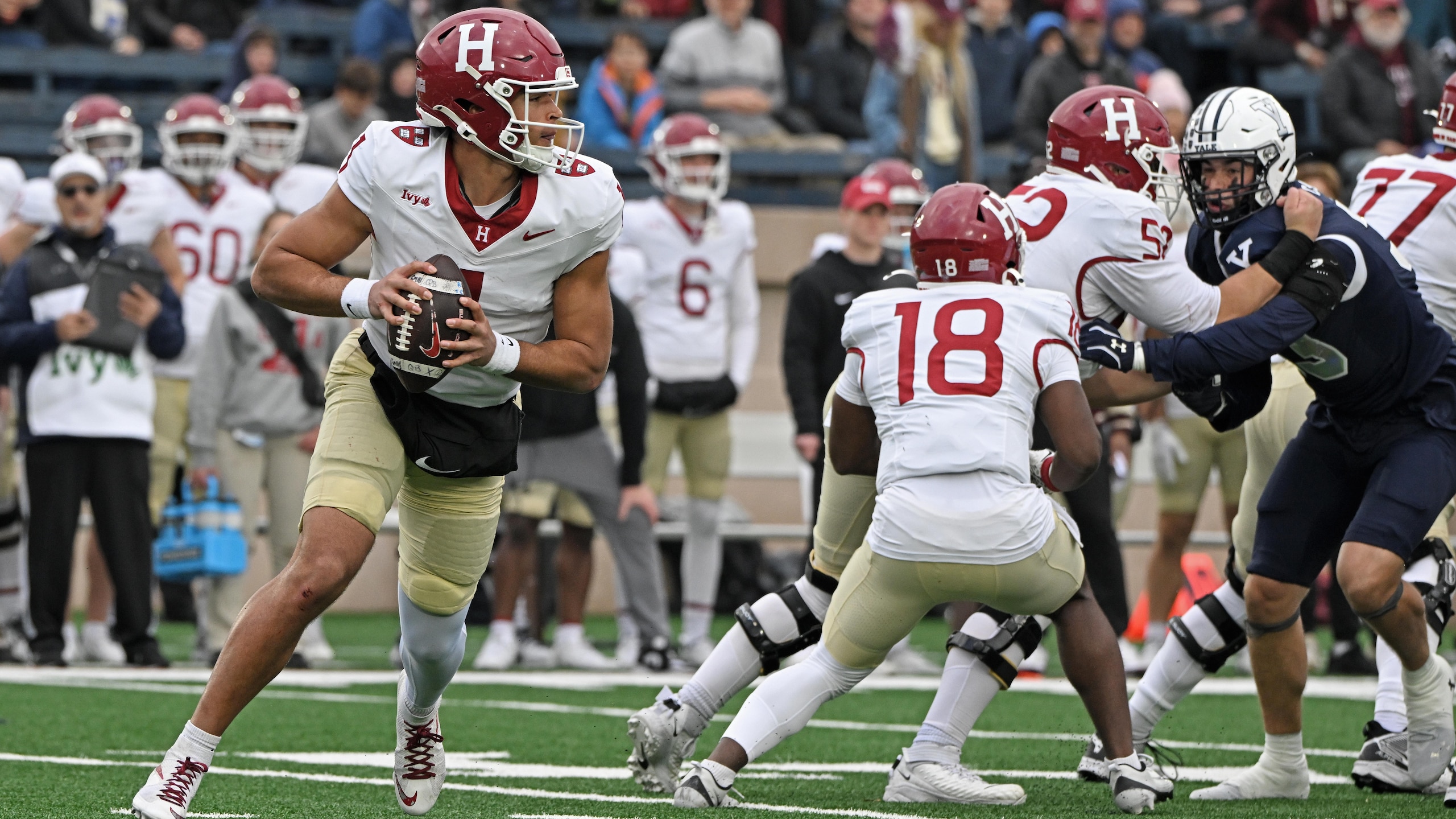Harvard v Yale