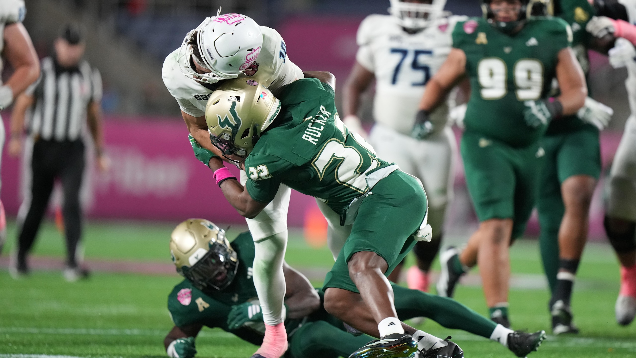 COLLEGE FOOTBALL: DEC 17 StaffDNA Cure Bowl Old Dominion at South Florida