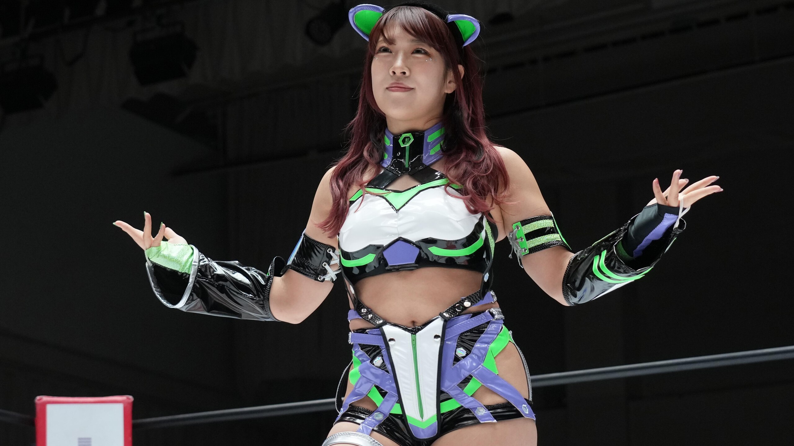 Women's Pro-Wrestling "Stardom"