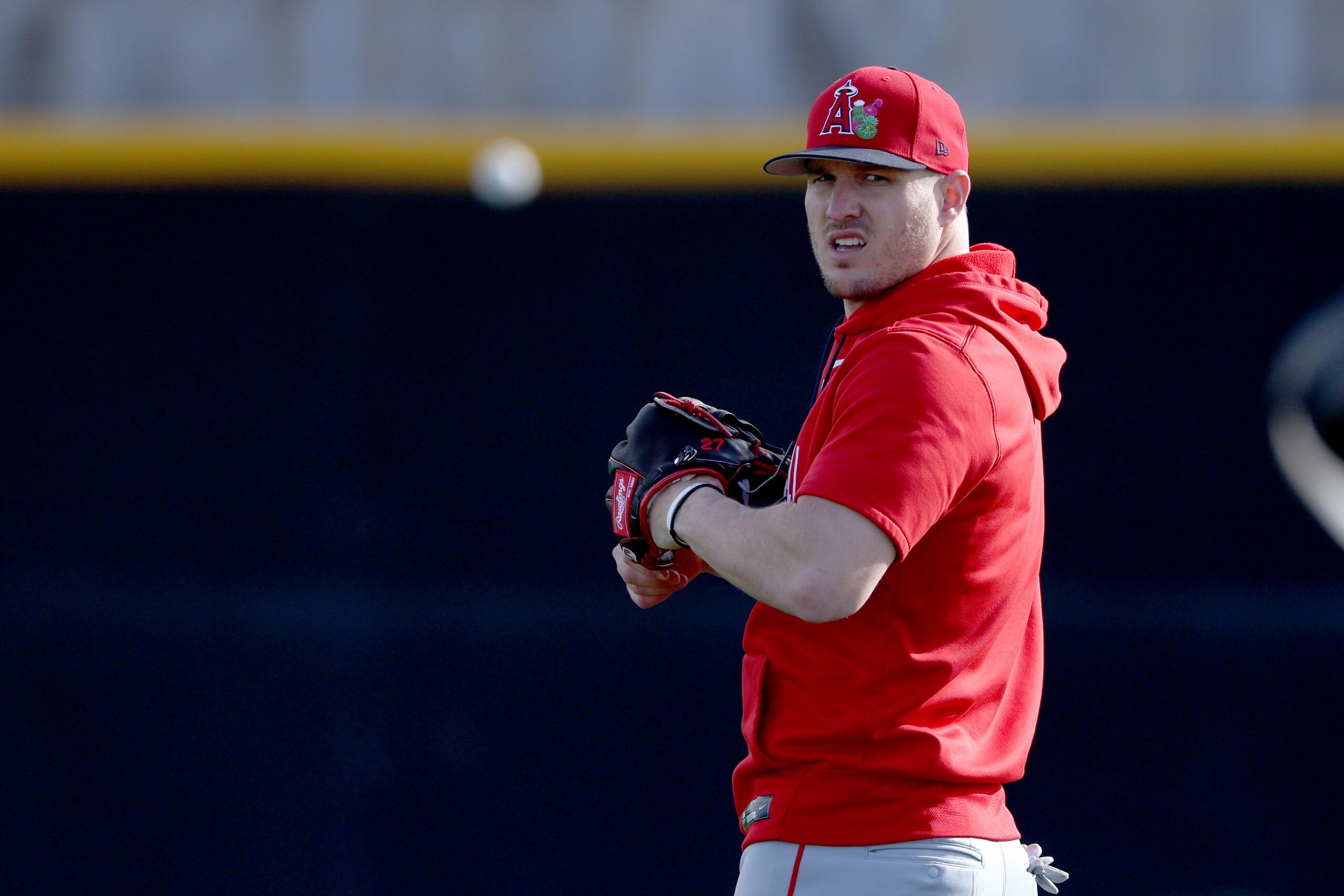 Angels spring training