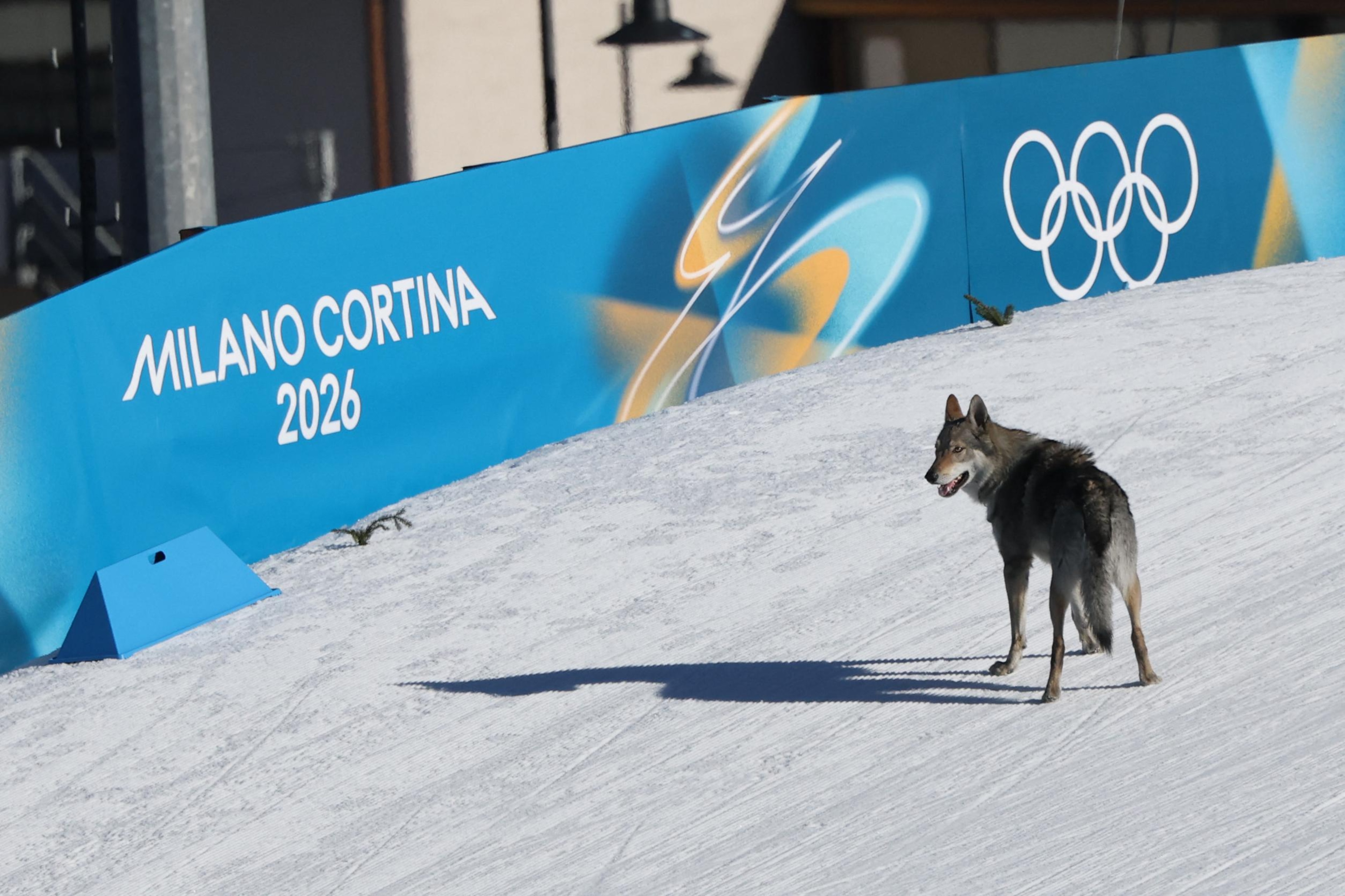 CCOUNTRY-OLY-2026-MILANO CORTINA CCOUNTRY-OLY-2026-MILANO CORTINA