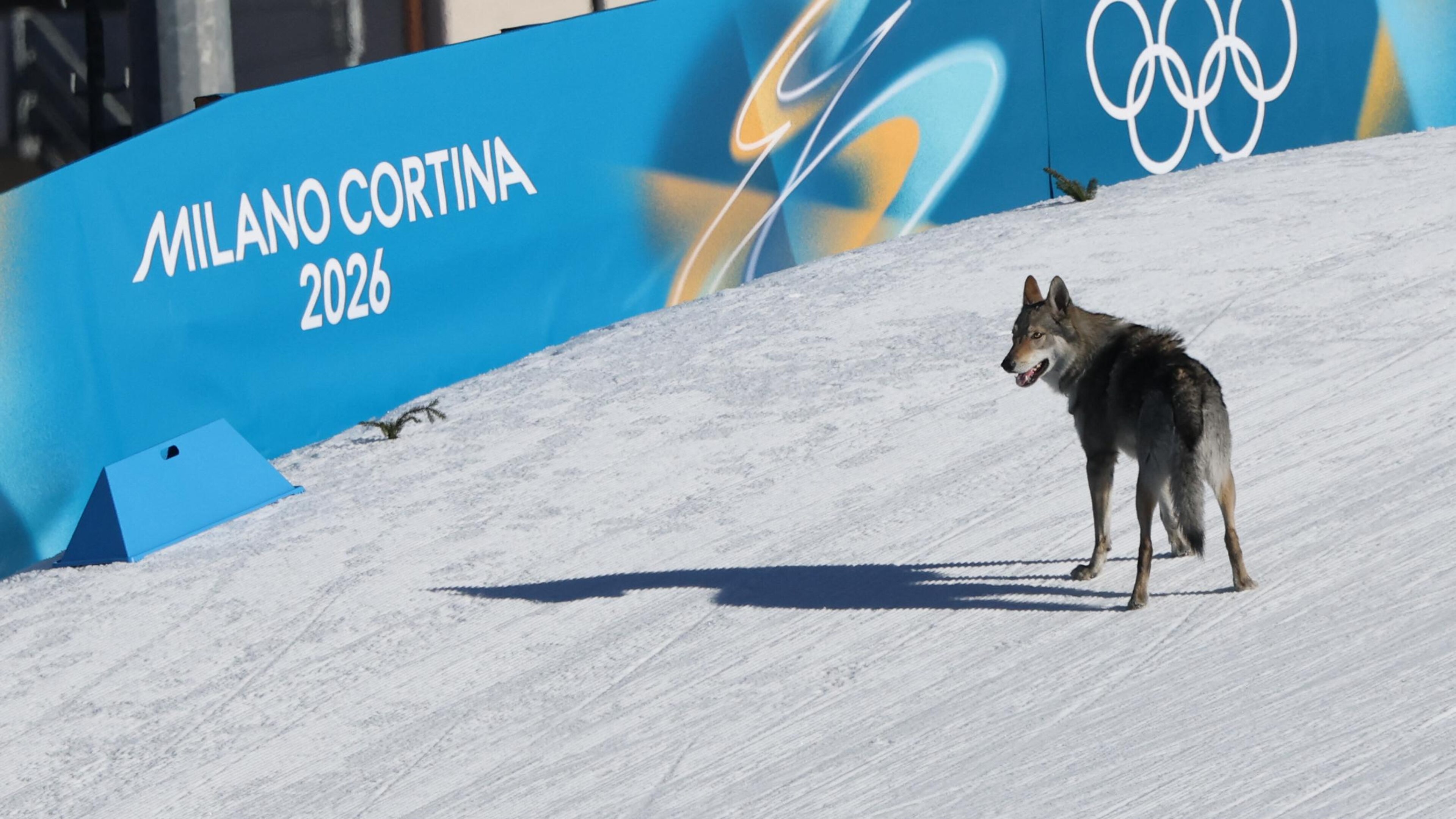 CCOUNTRY-OLY-2026-MILANO CORTINA CCOUNTRY-OLY-2026-MILANO CORTINA