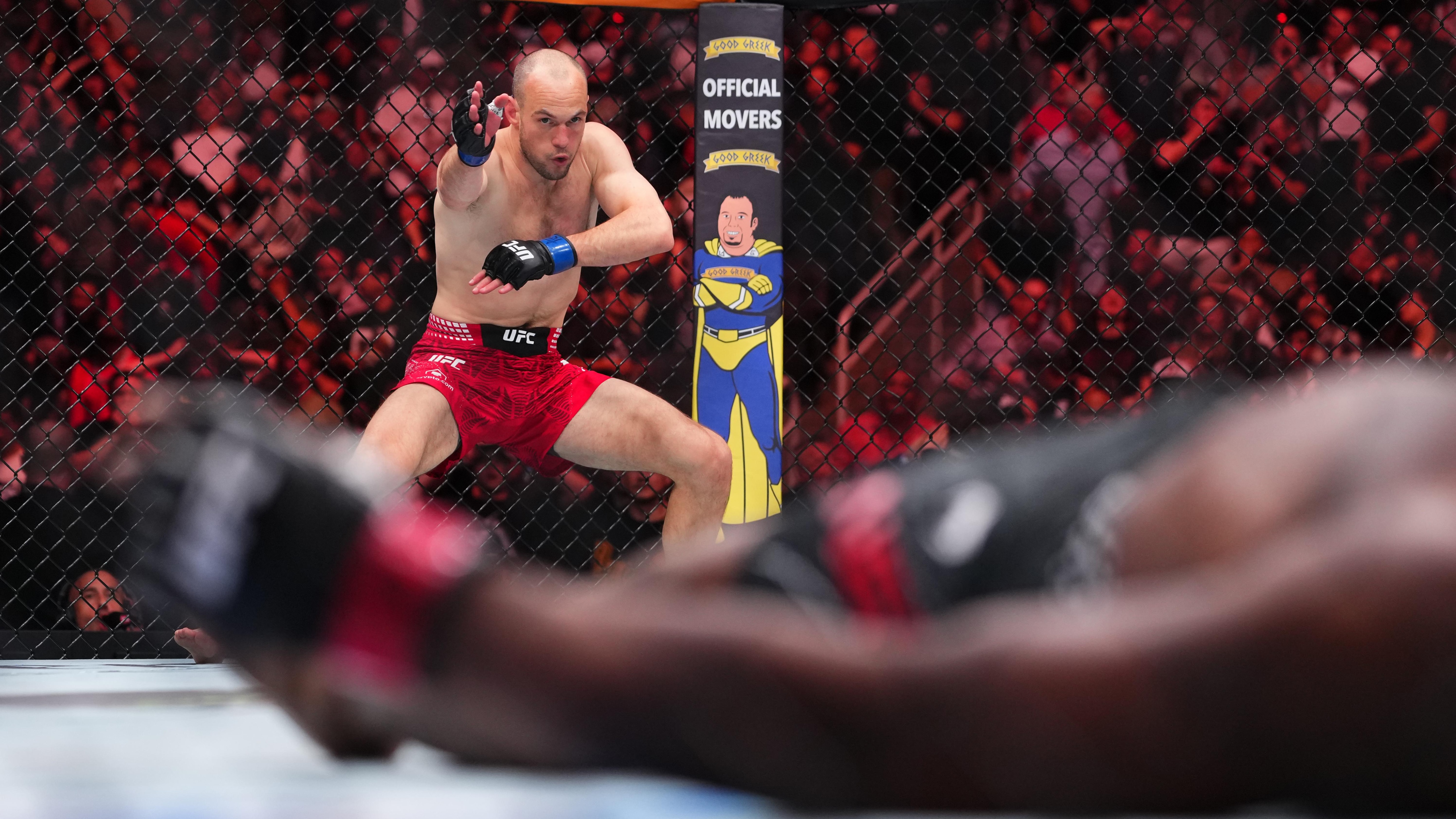 UFC Fight Night: Neal v Medic