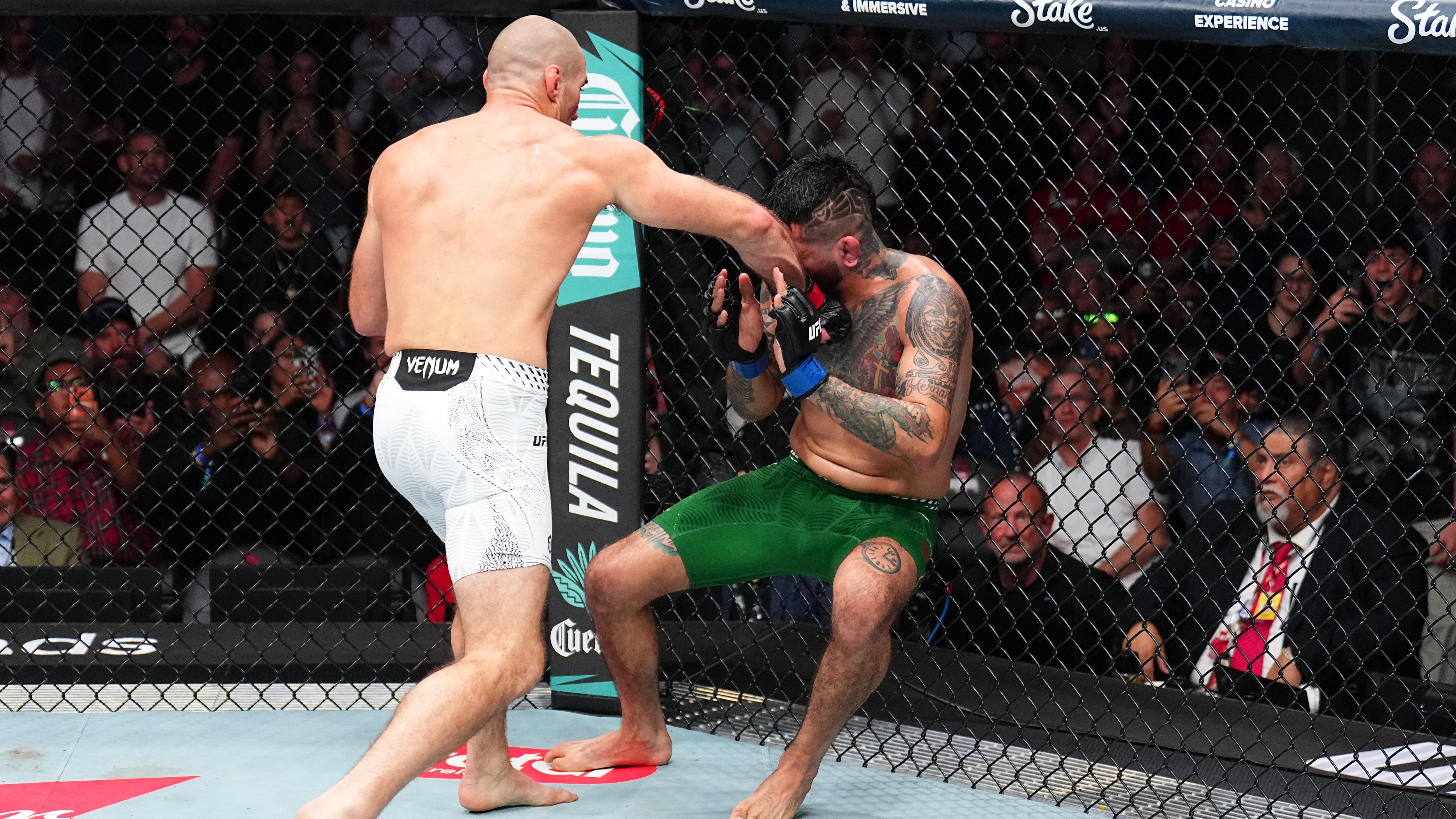 UFC Fight Night: Strickland v Hernandez