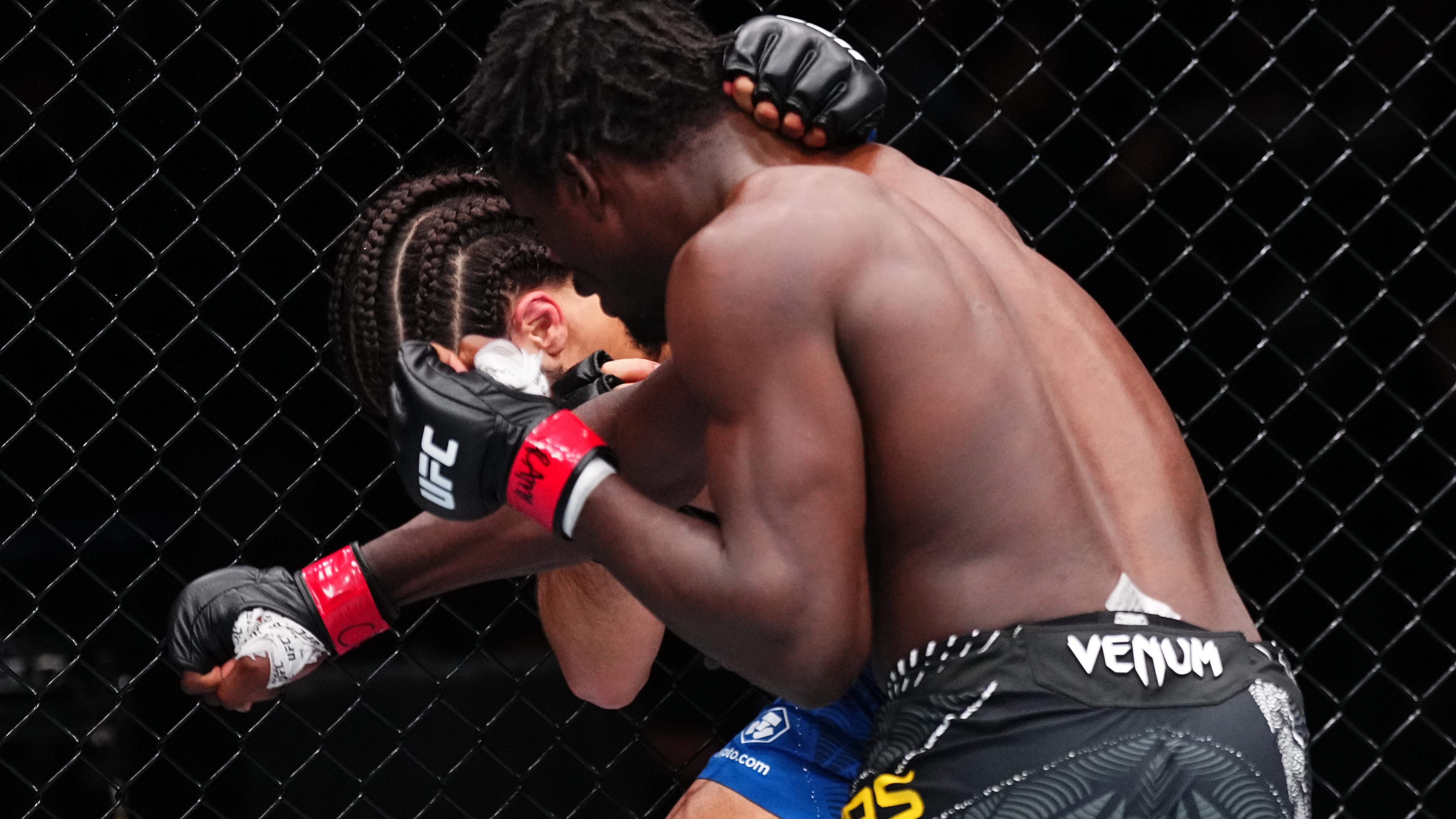 UFC Fight Night: Pinas v Schultz